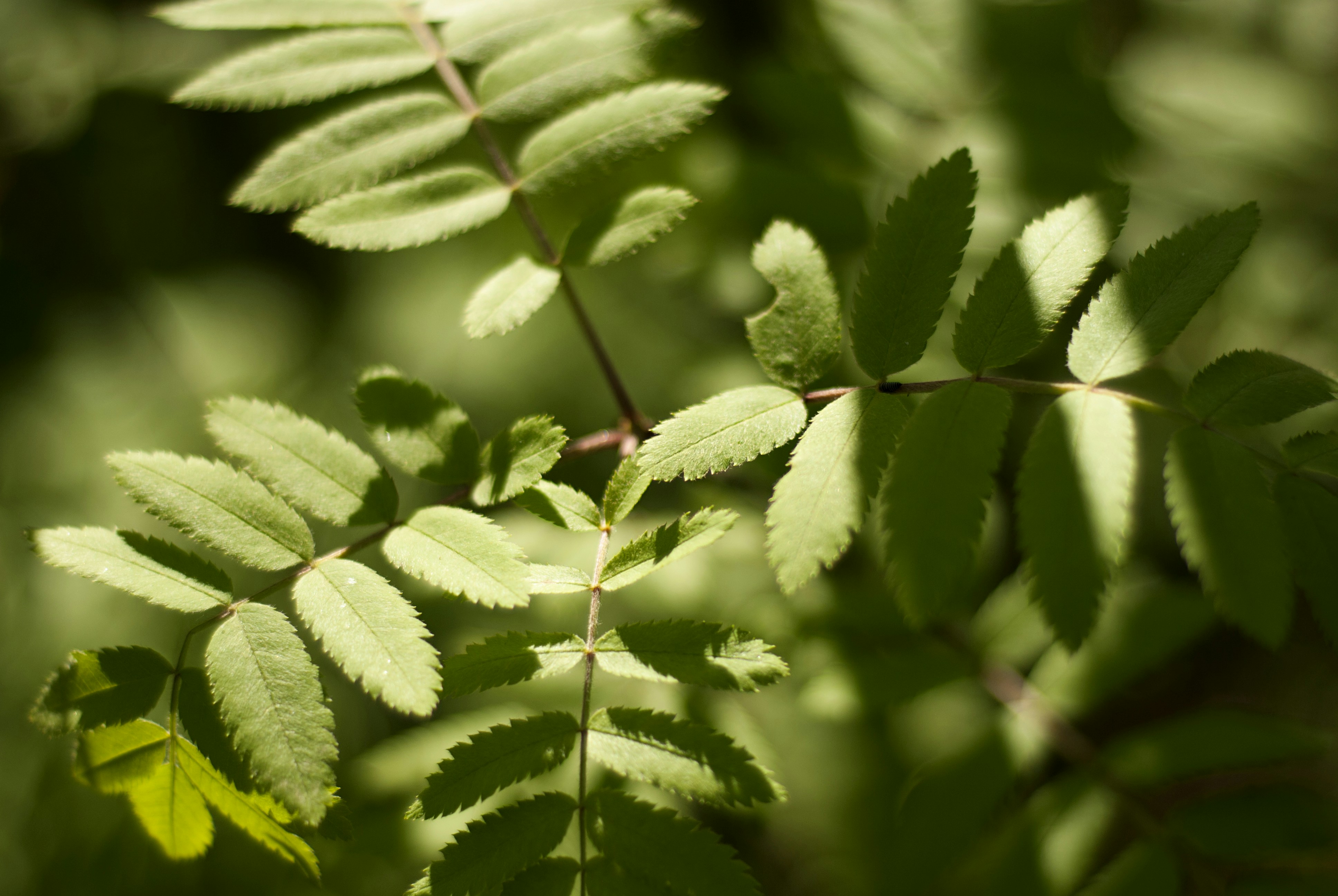 Photo by kovalskihelga