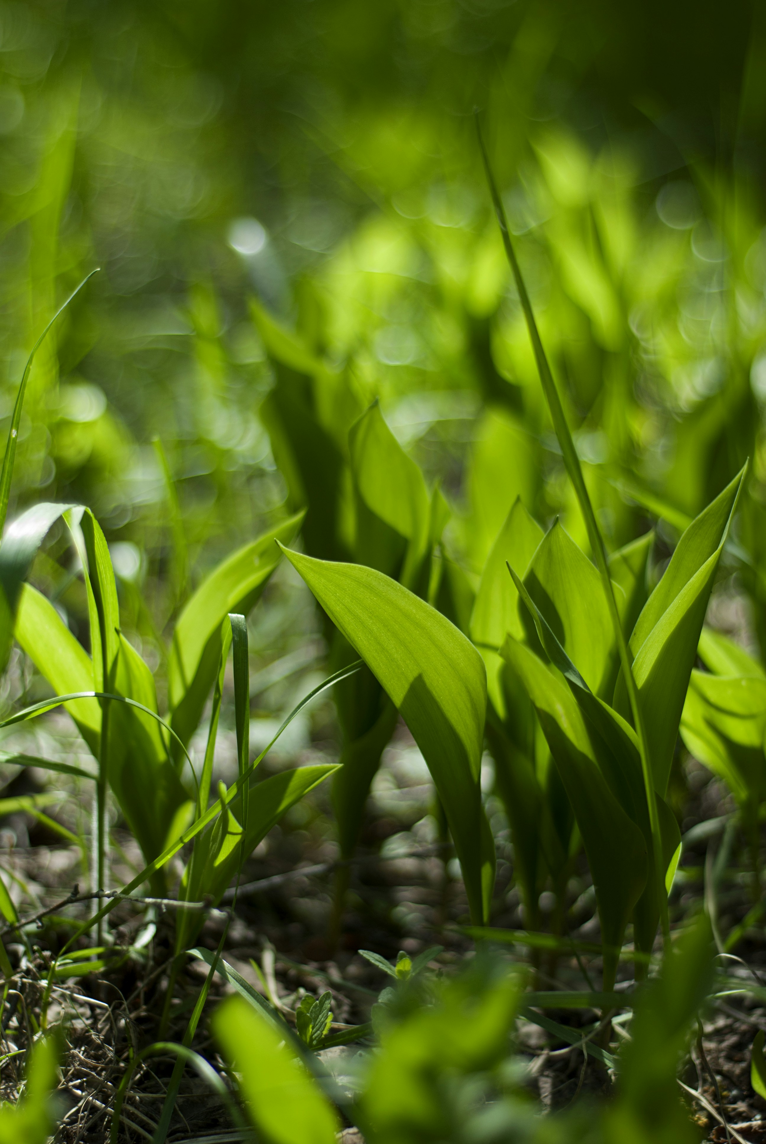 Photo by kovalskihelga