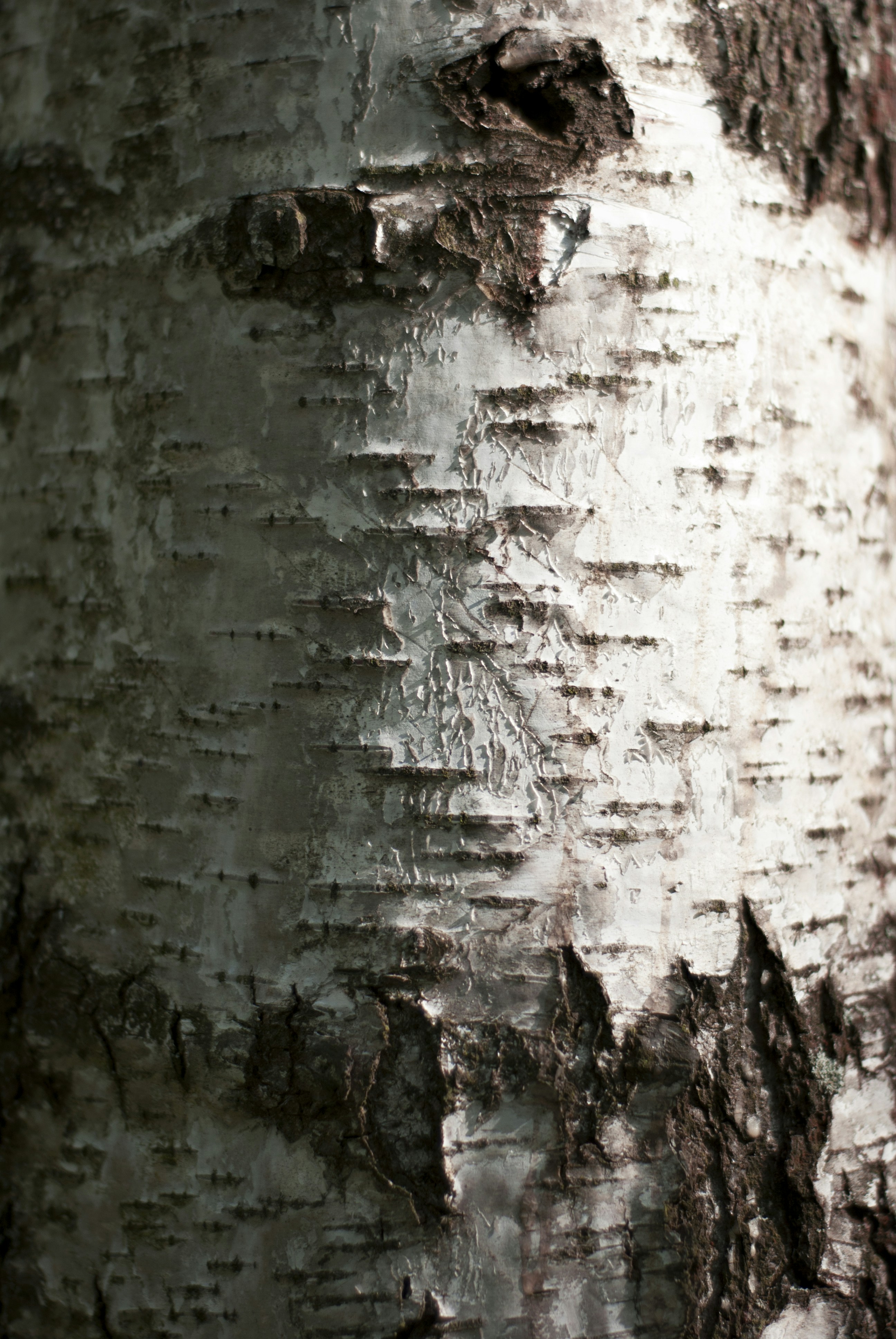 Photo by kovalskihelga