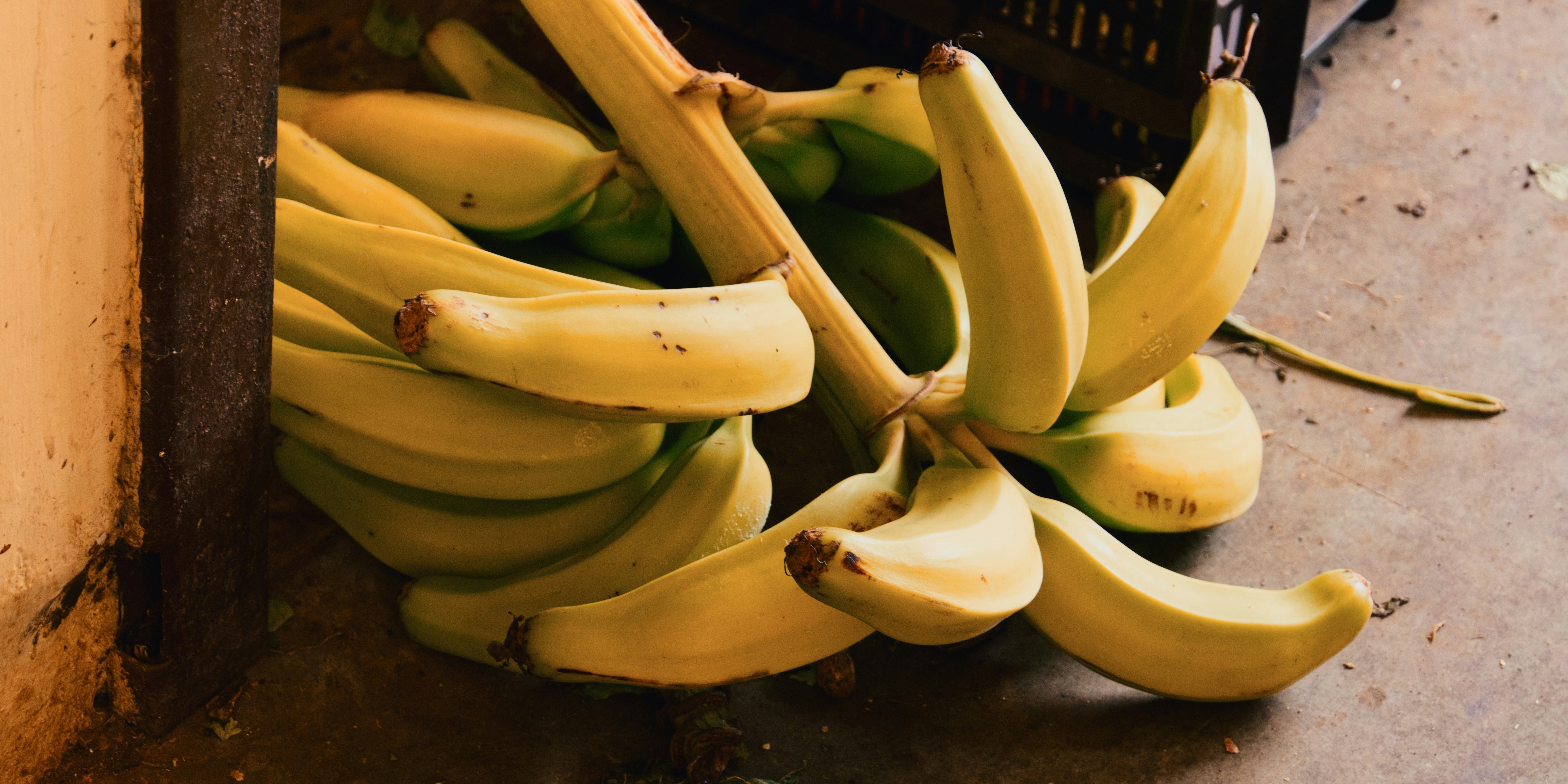 The $18 Million Banana Problem