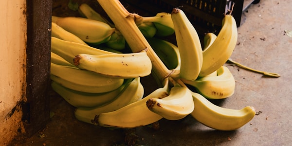 A bunch of bananas sitting next to a wall