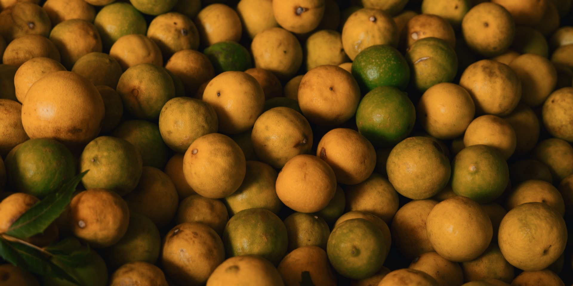 A large pile of oranges and lemons with leaves