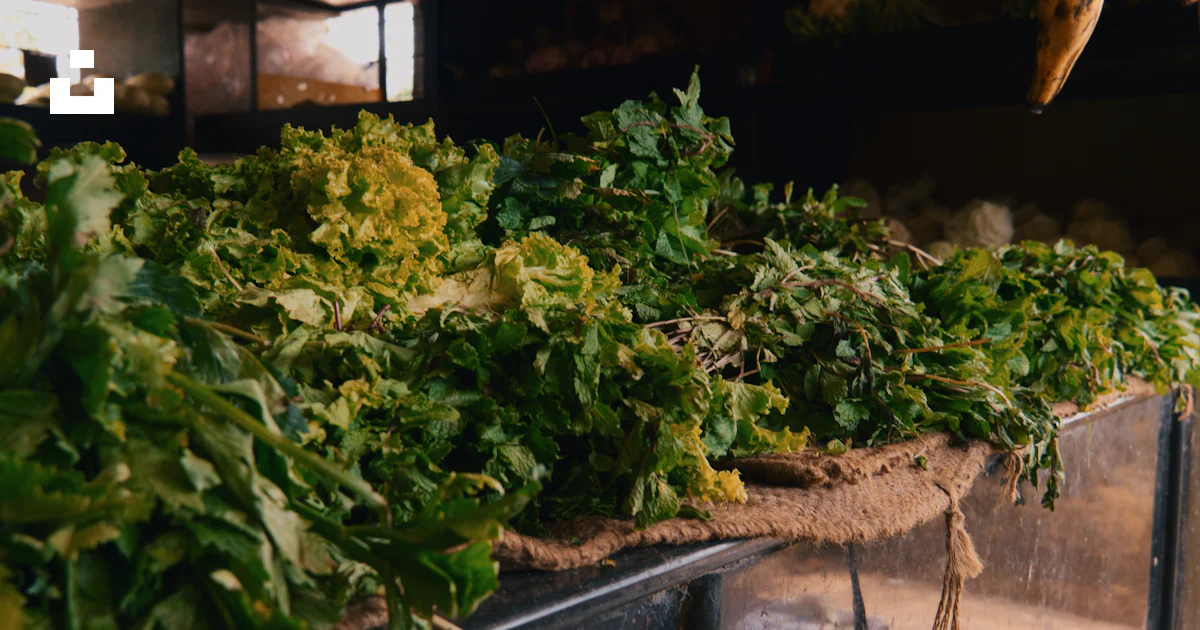 Ein Haufen Grünpflanzen auf einem Tisch Foto – Kostenloses Bild zum ...