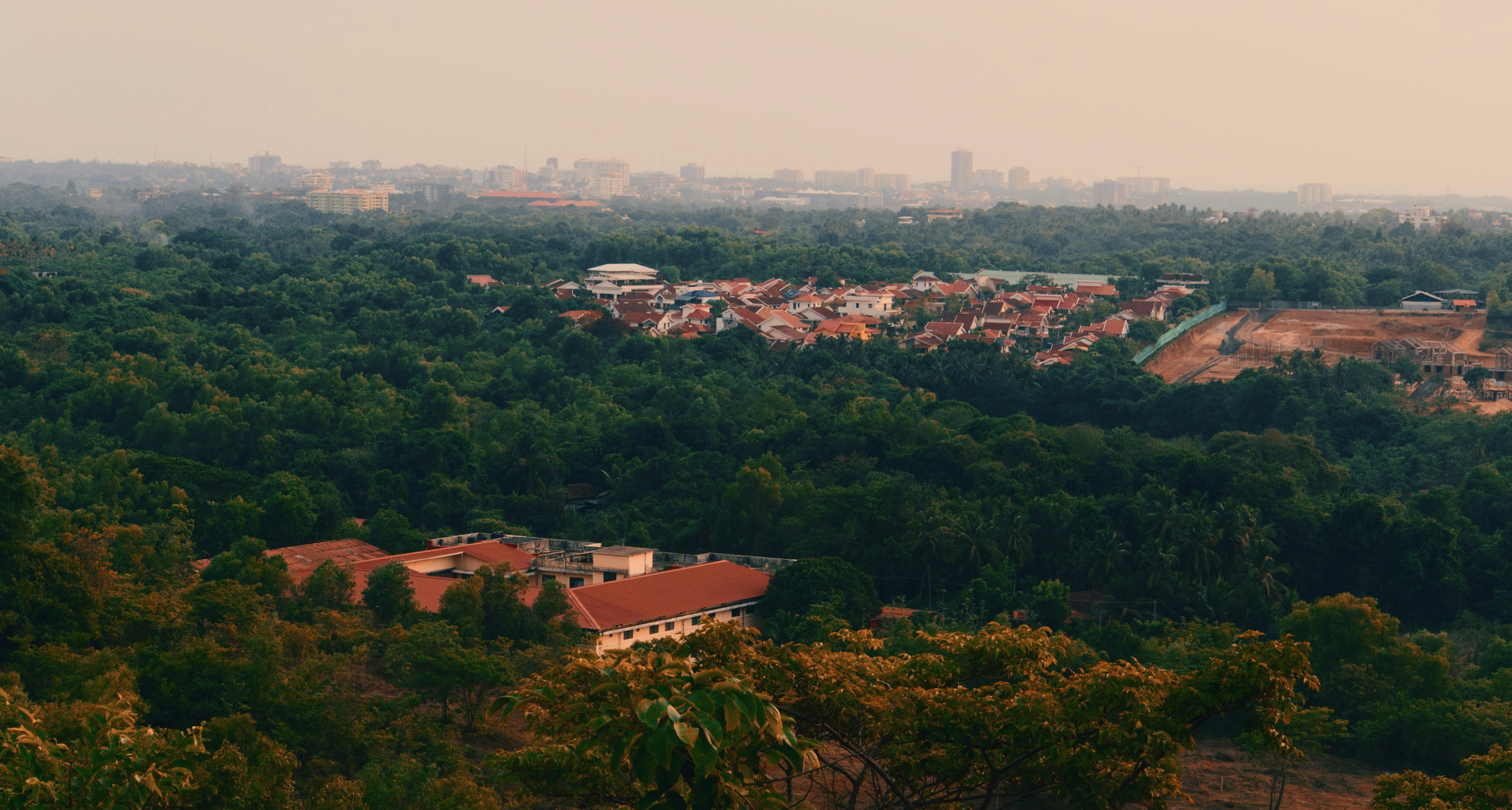 Urban Jungle £14m funding: what we know