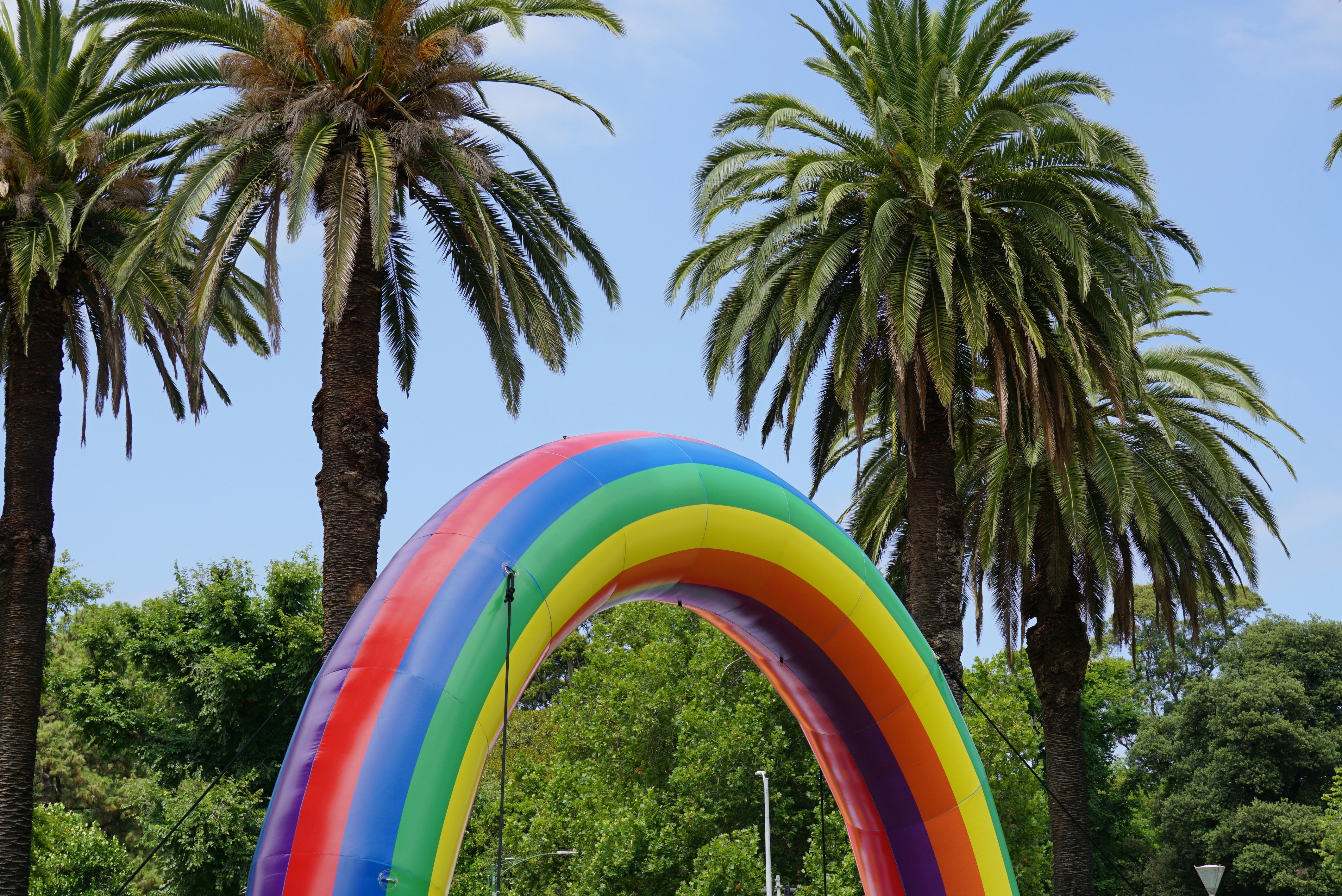 a rainbow arch in a park with palm trees