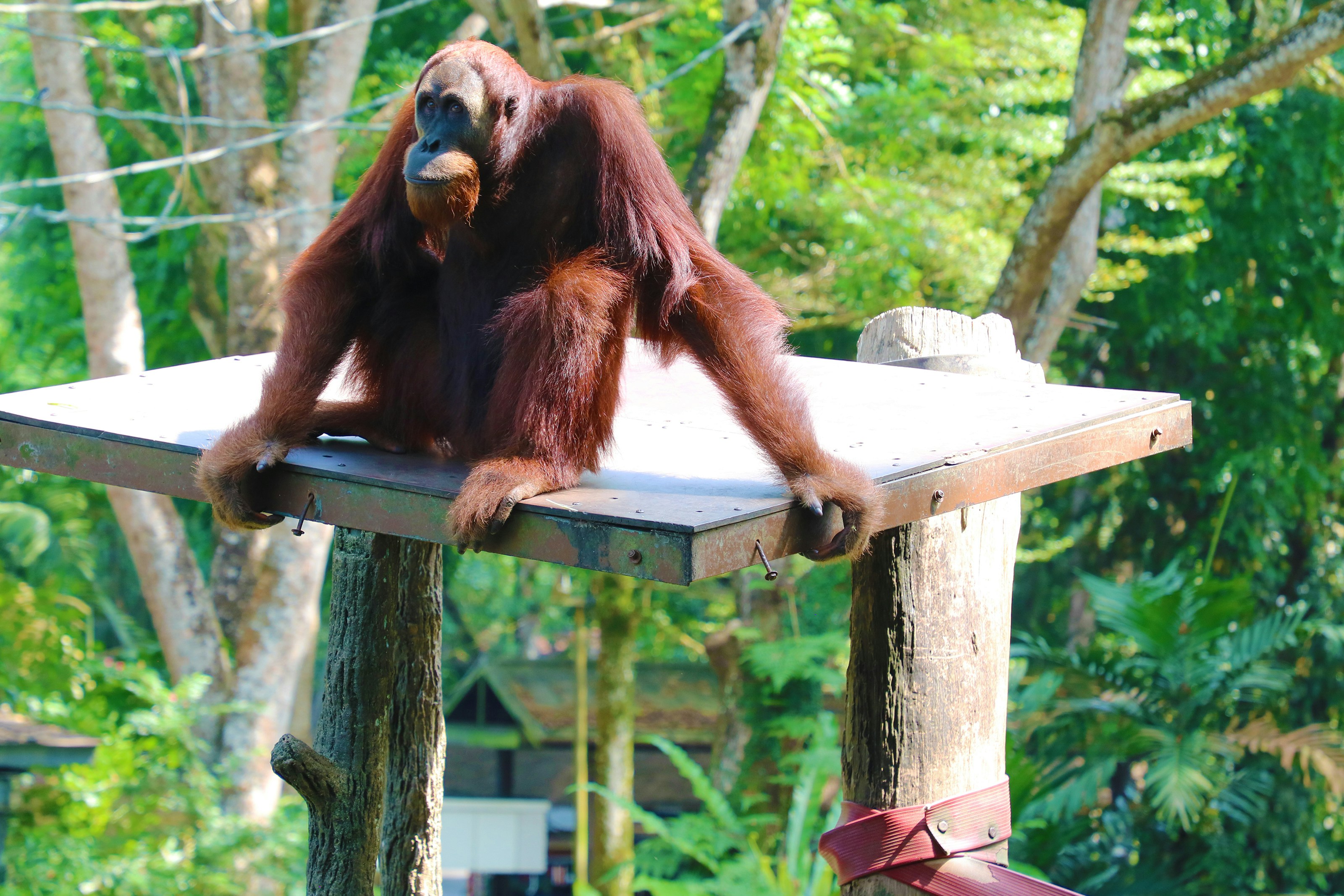 Photo by timothynblake