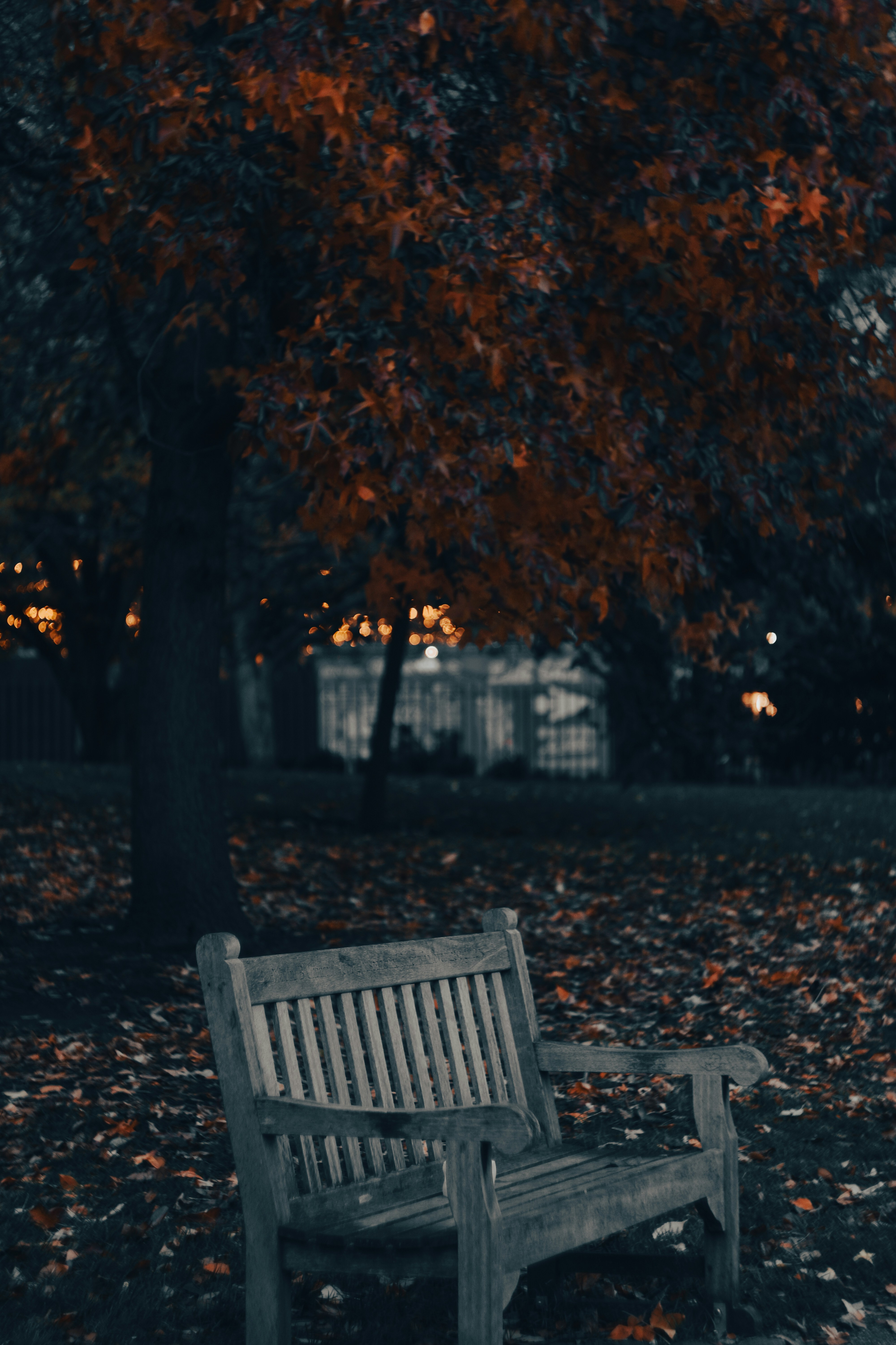 Photo by nadiiapetrakova