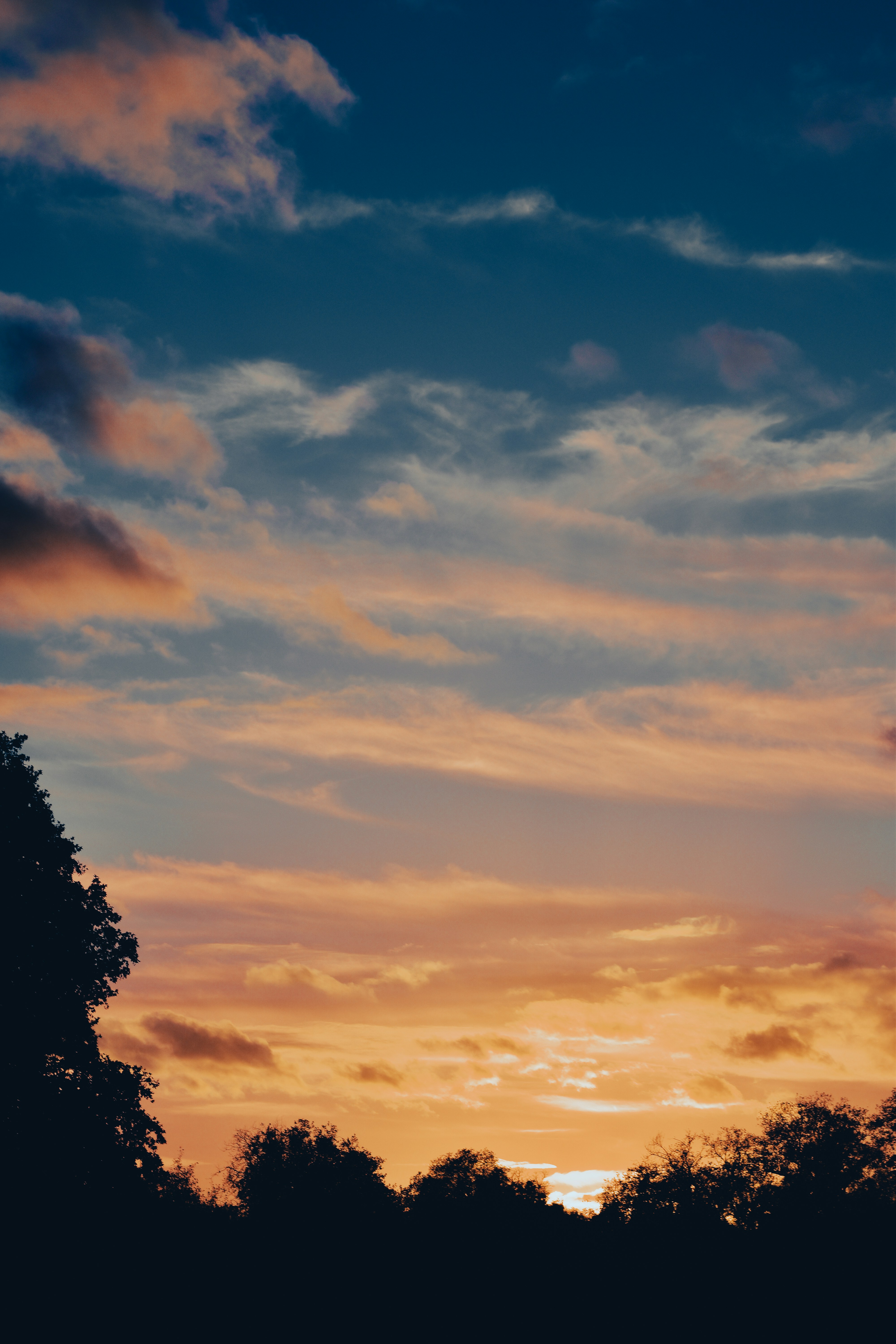 Photo by nadiiapetrakova