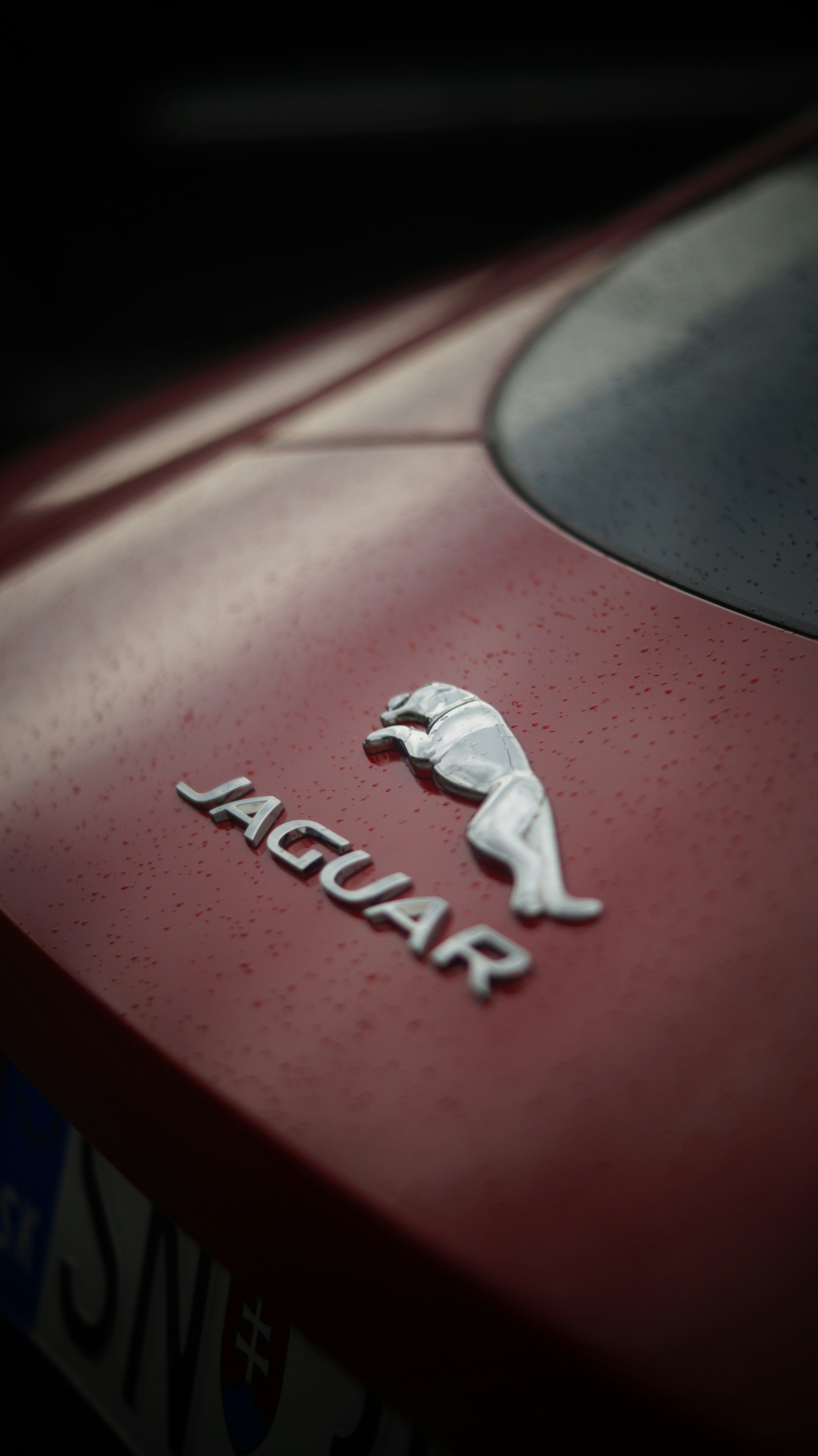 Jaguar Emblem HD Wallpaper – Sleek Luxury Vehicle Icon, image size:3000x5342