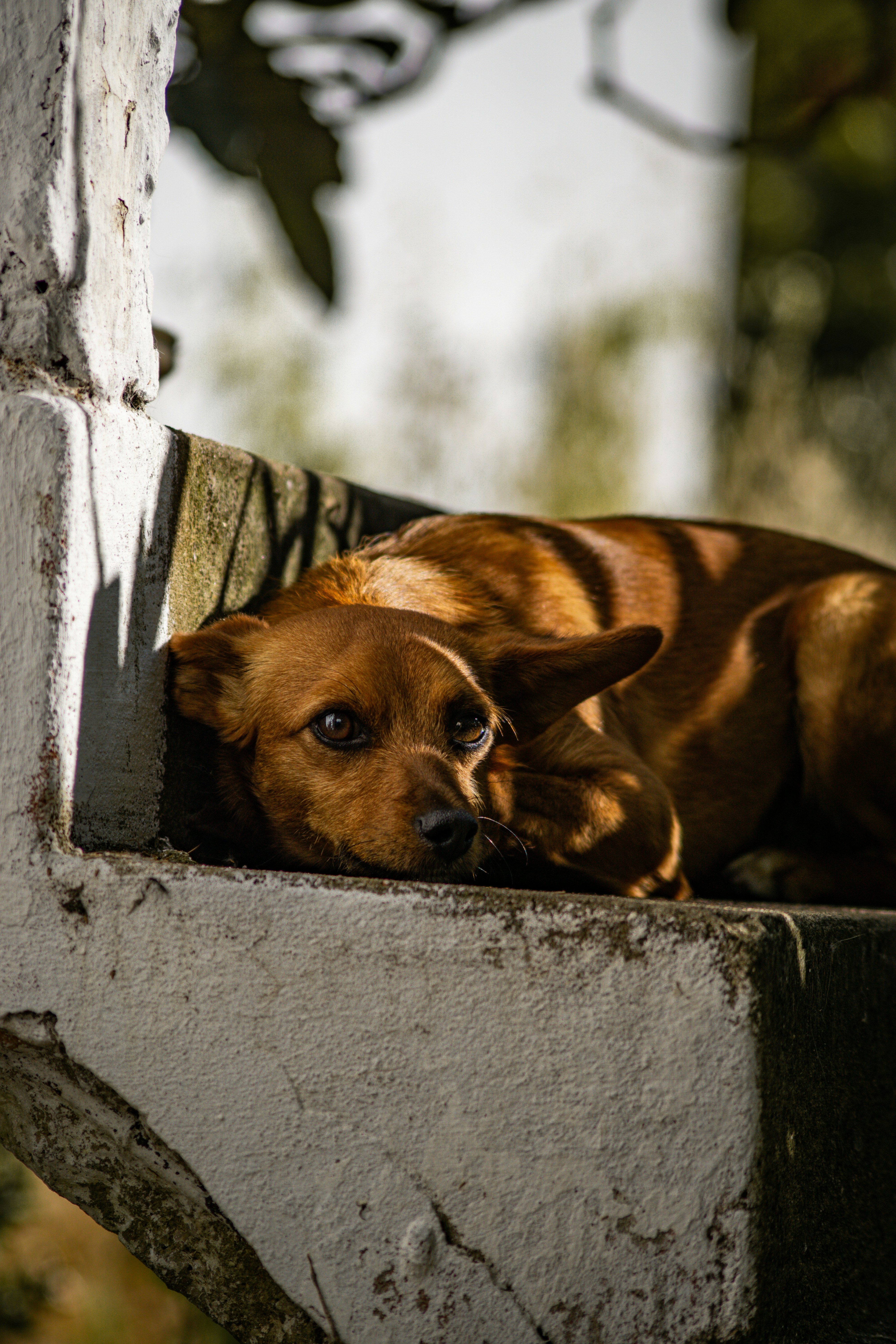 Photo by diogocardoso28