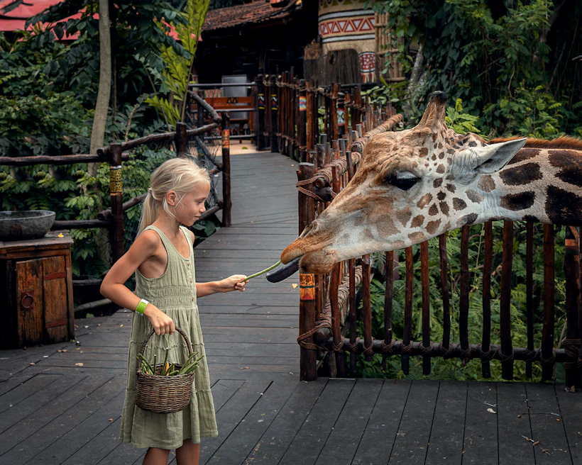 Child visiting a giraffe at a zoo