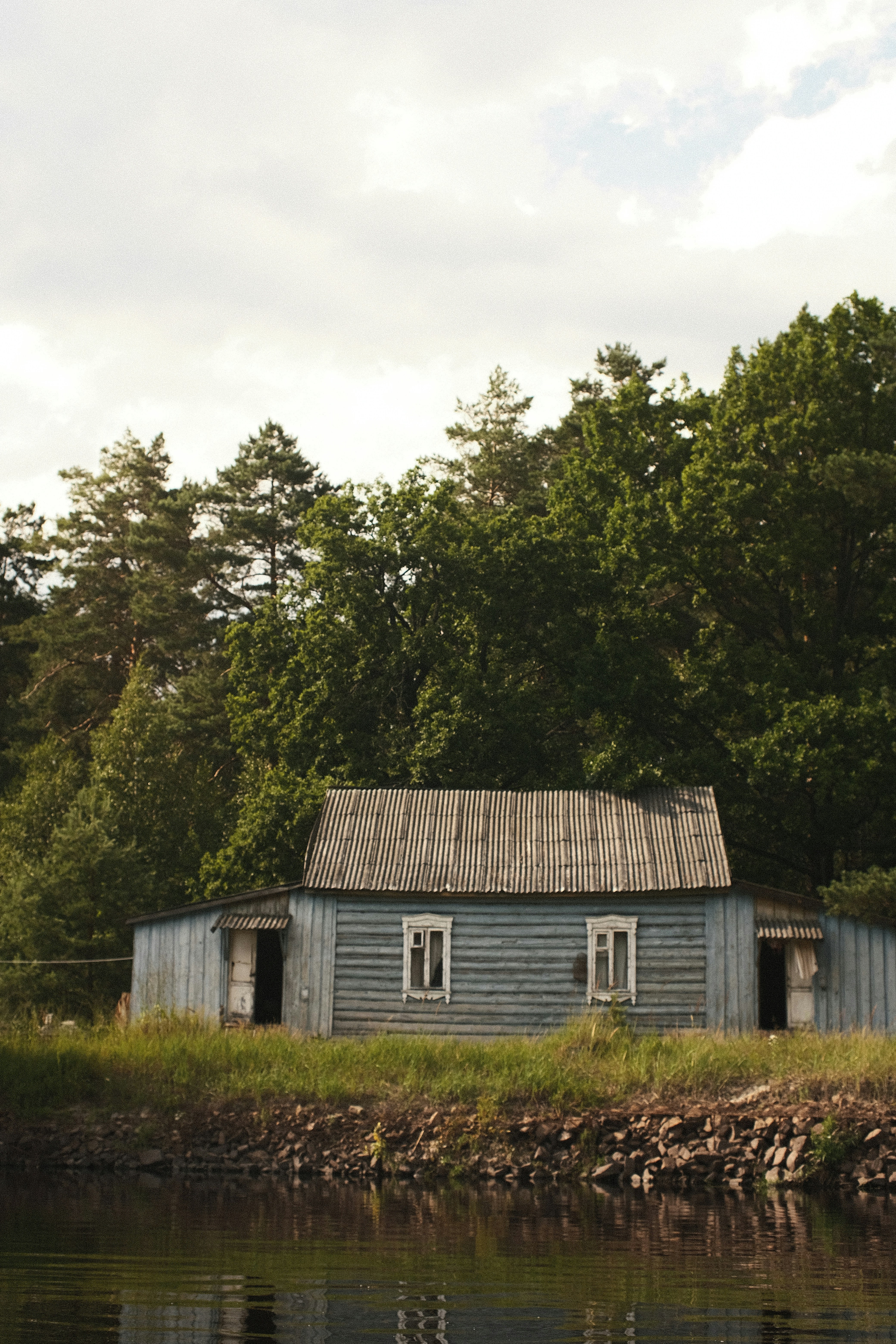 Photo by koshachiy_vizg