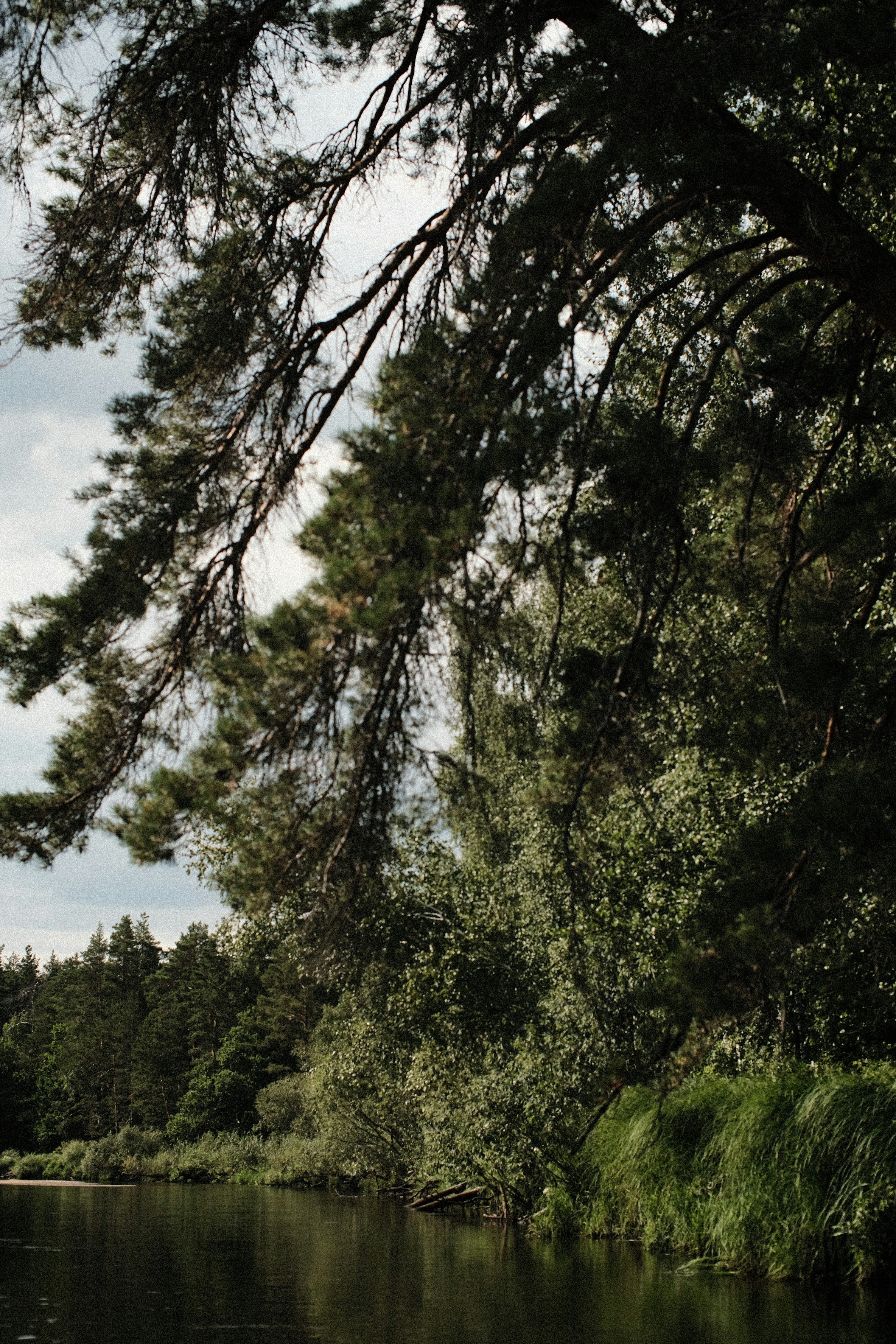 Photo by koshachiy_vizg