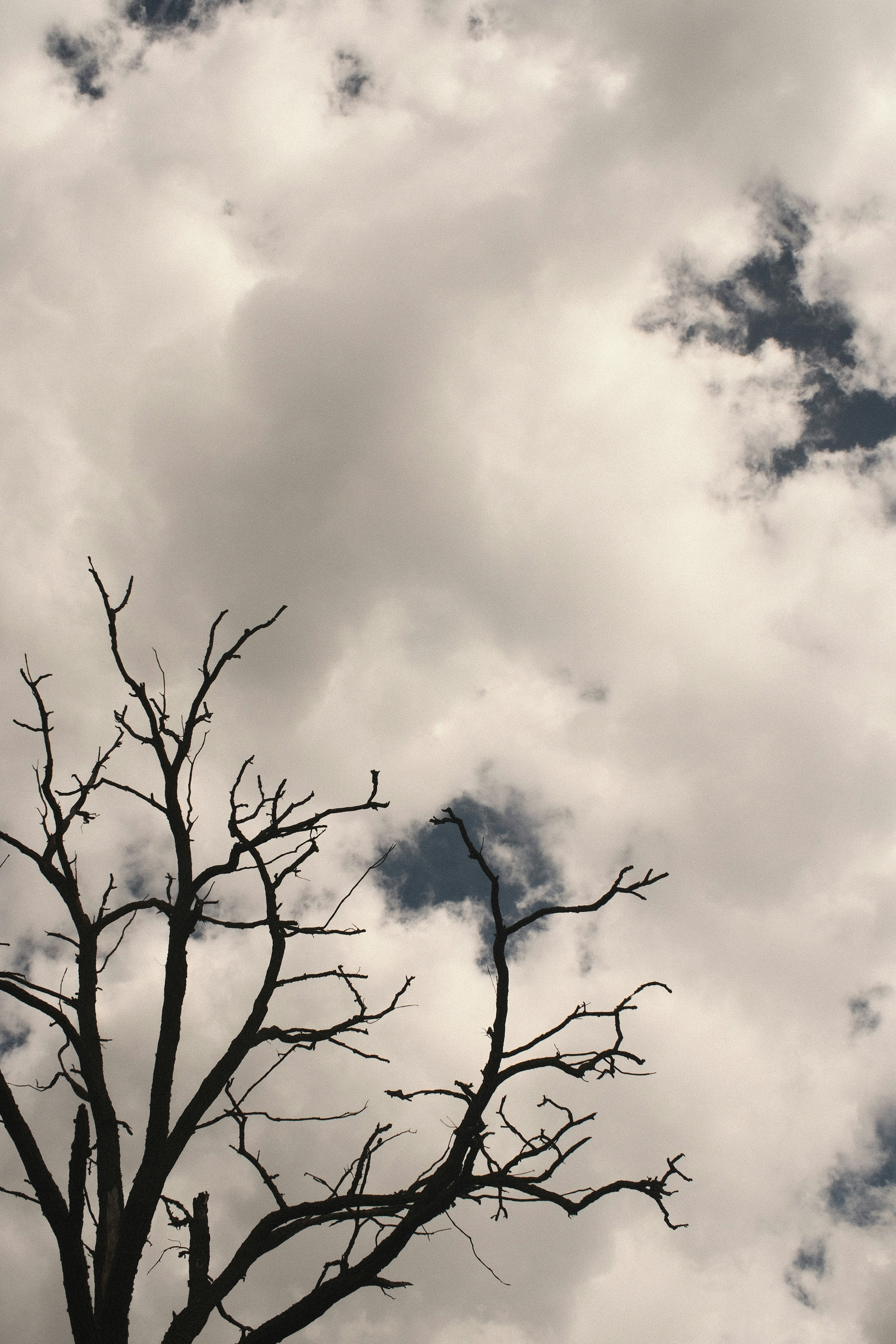 Photo by koshachiy_vizg