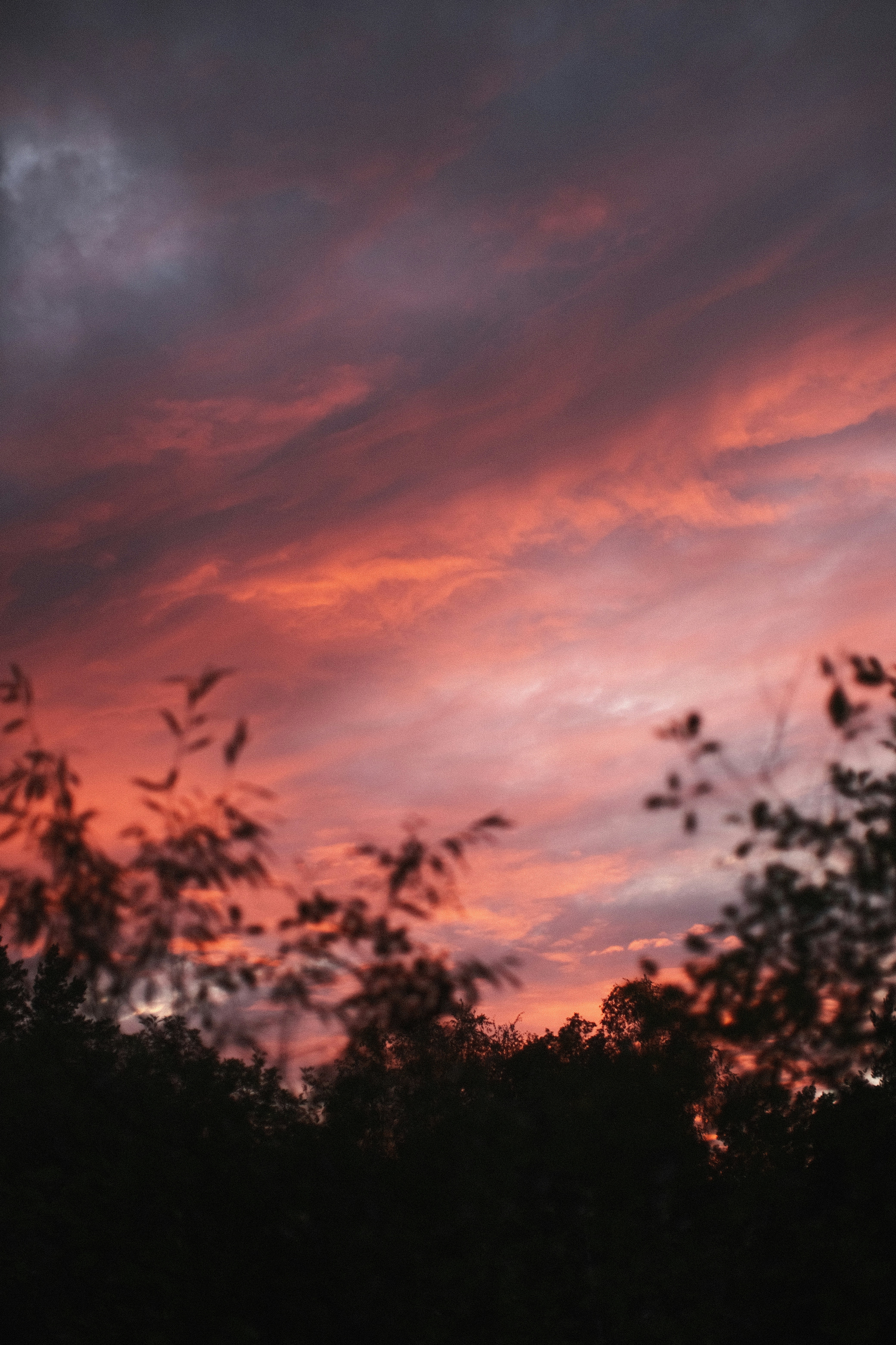 Photo by koshachiy_vizg