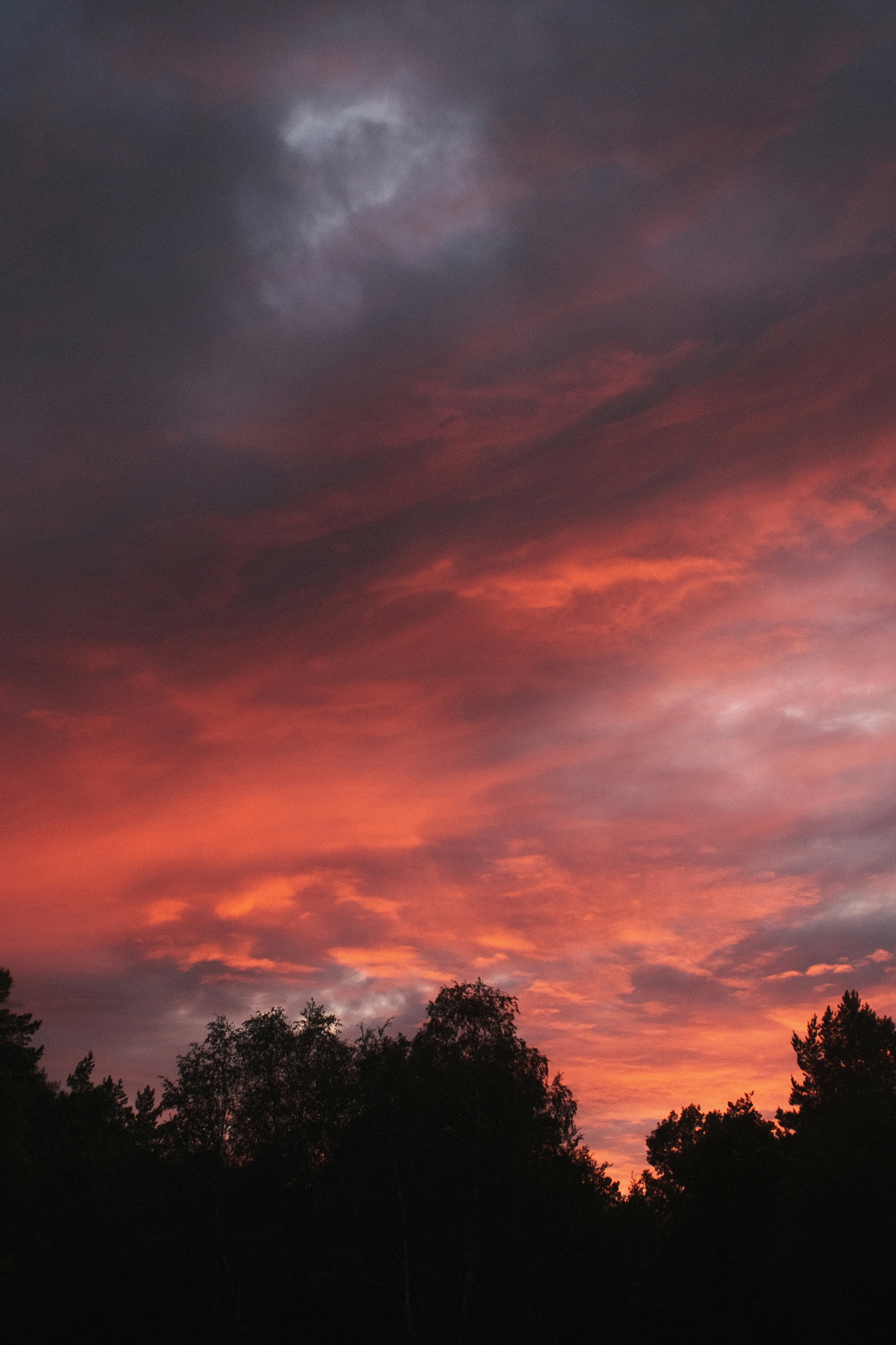 Photo by koshachiy_vizg