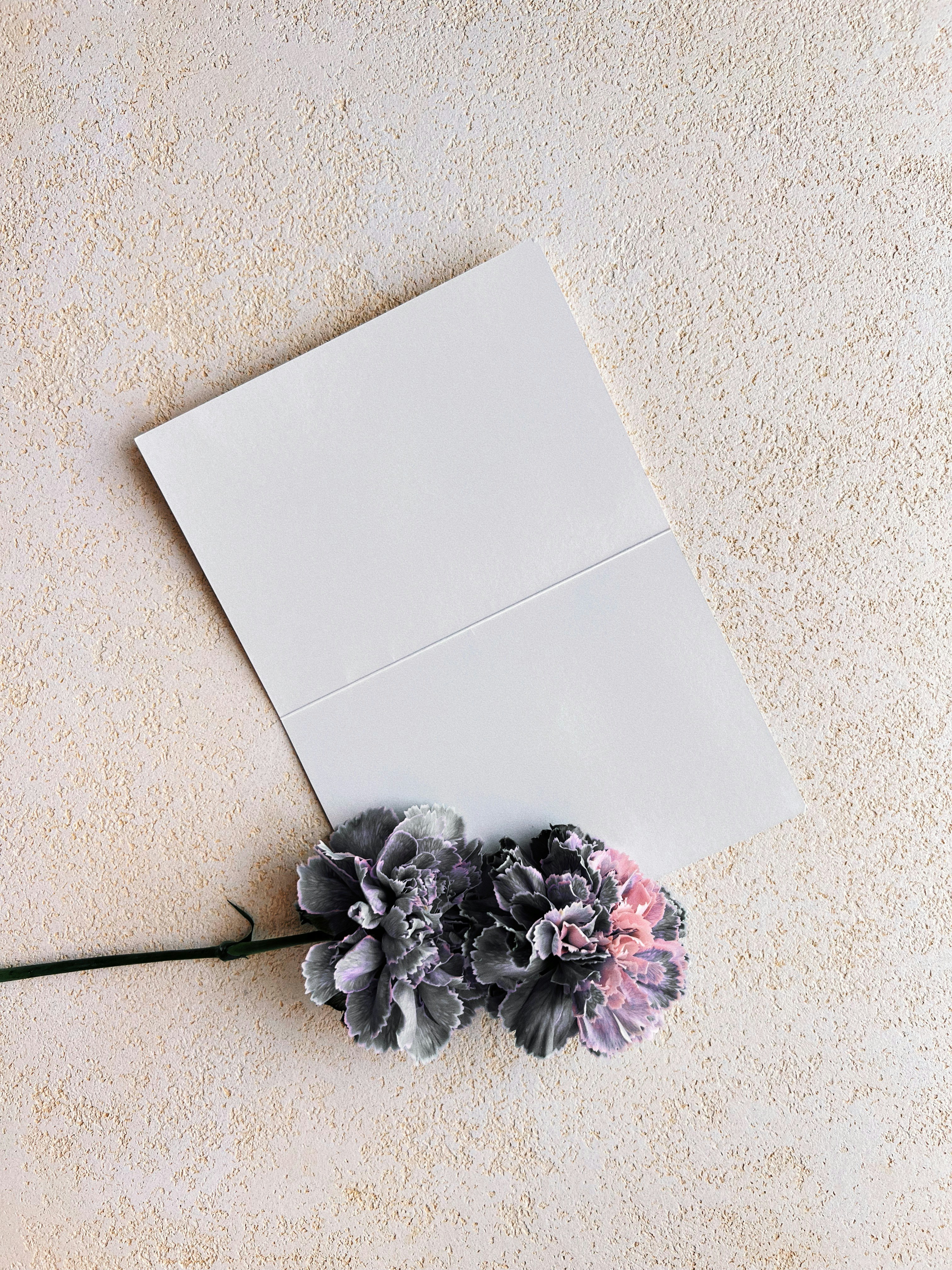 a flower laying on top of a white envelope
