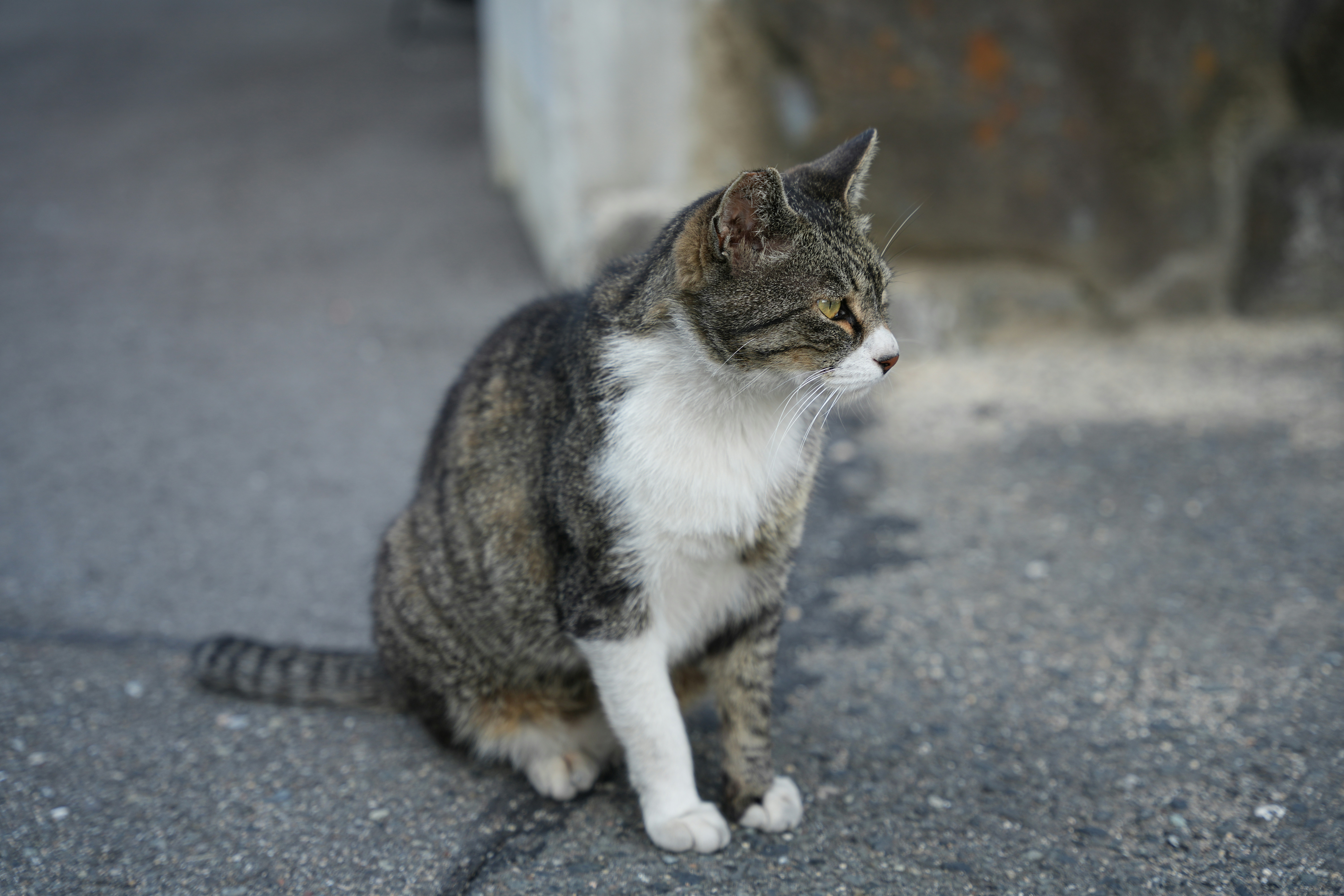 Photo by viendinh1995