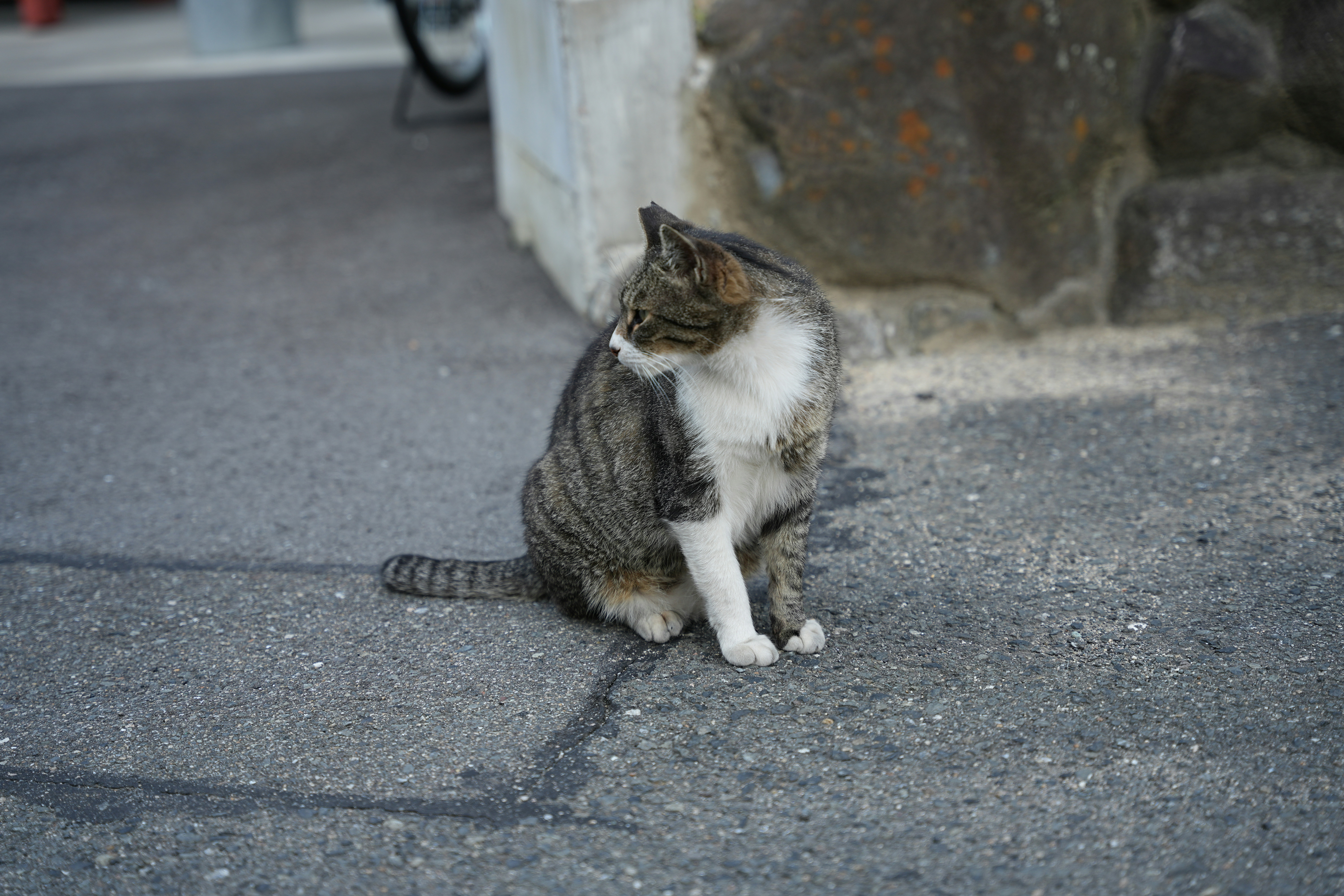 Photo by viendinh1995