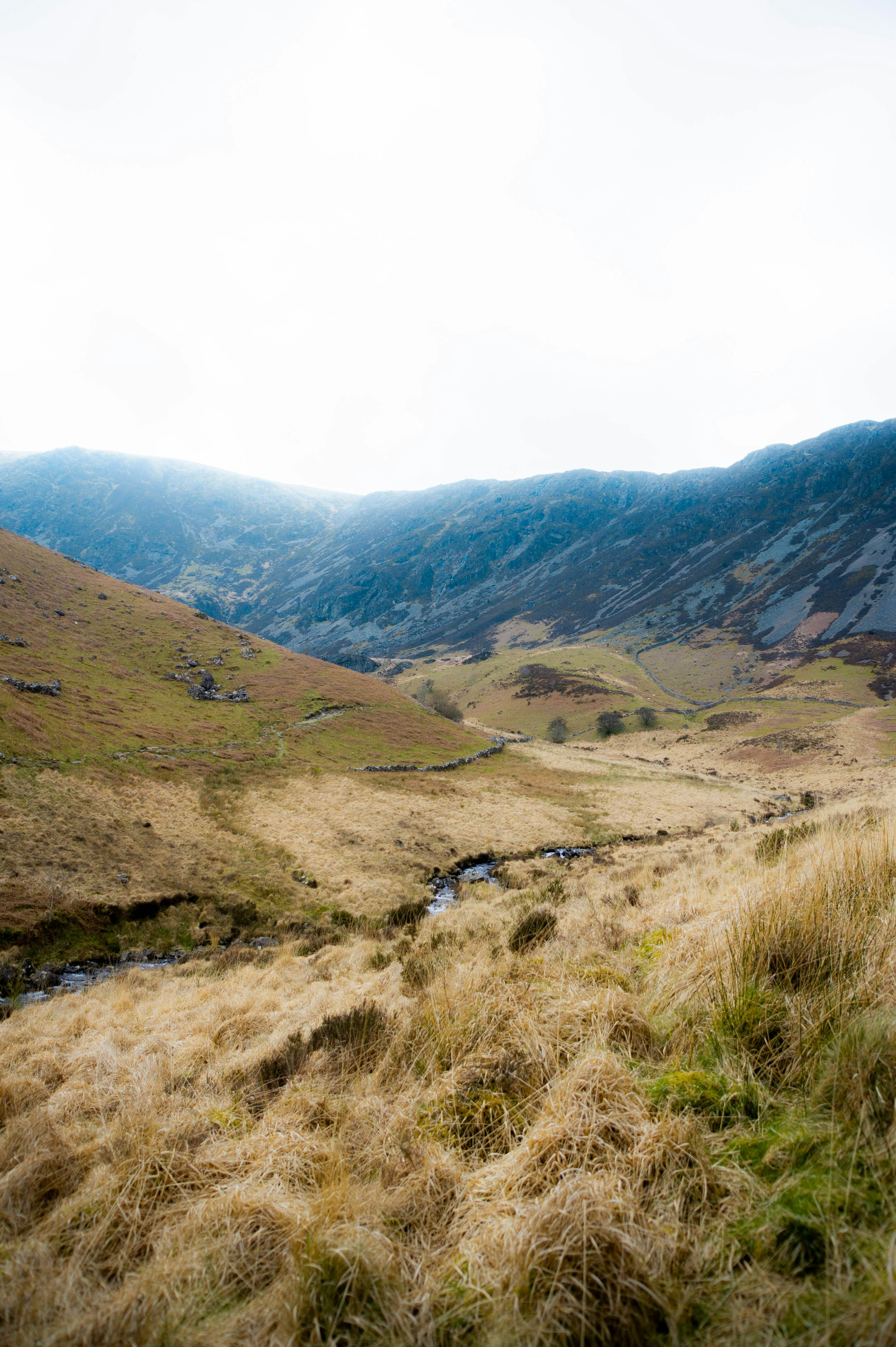 Photo by geikeverniers