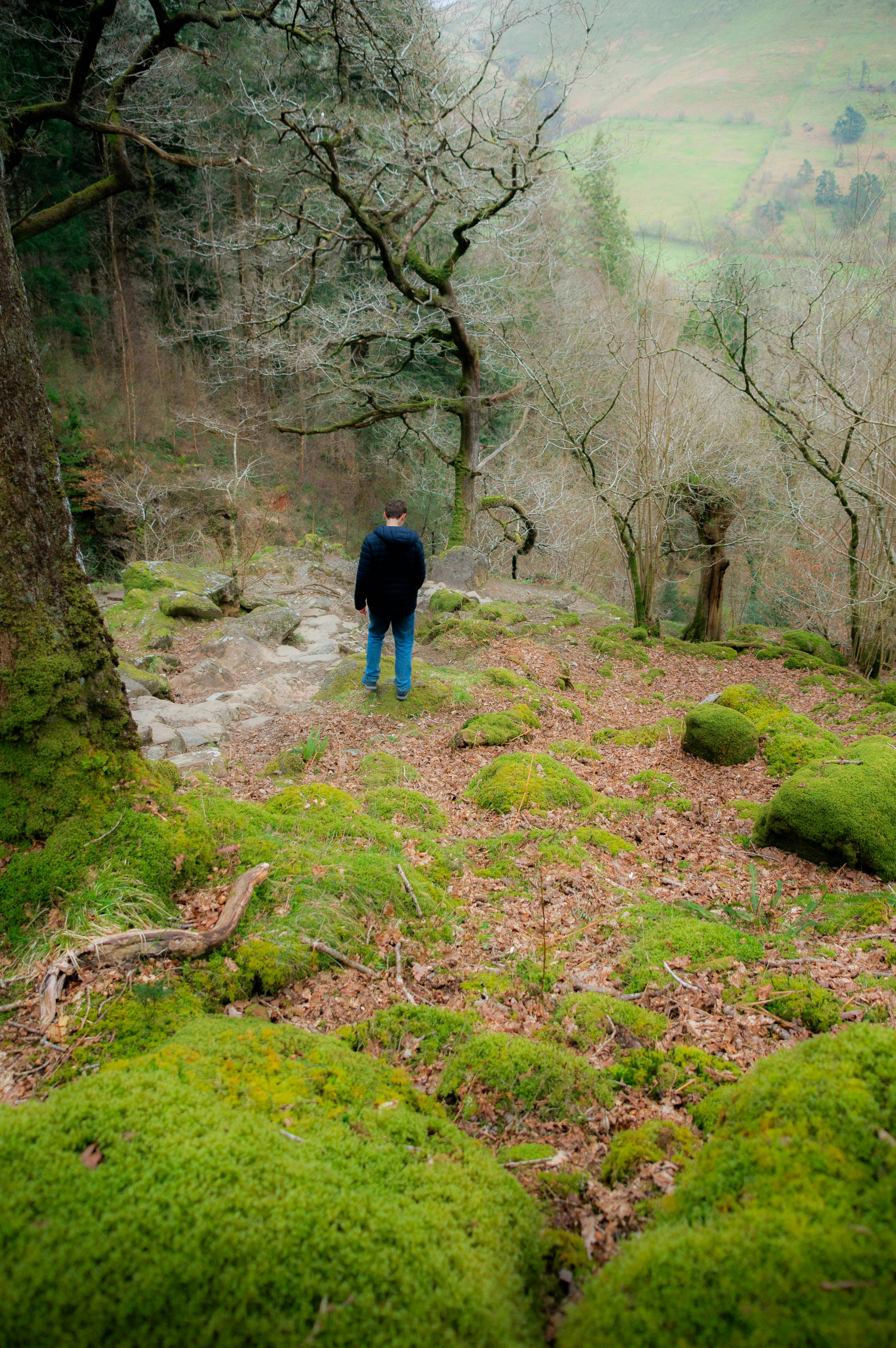Un hombre parado en medio de un bosque