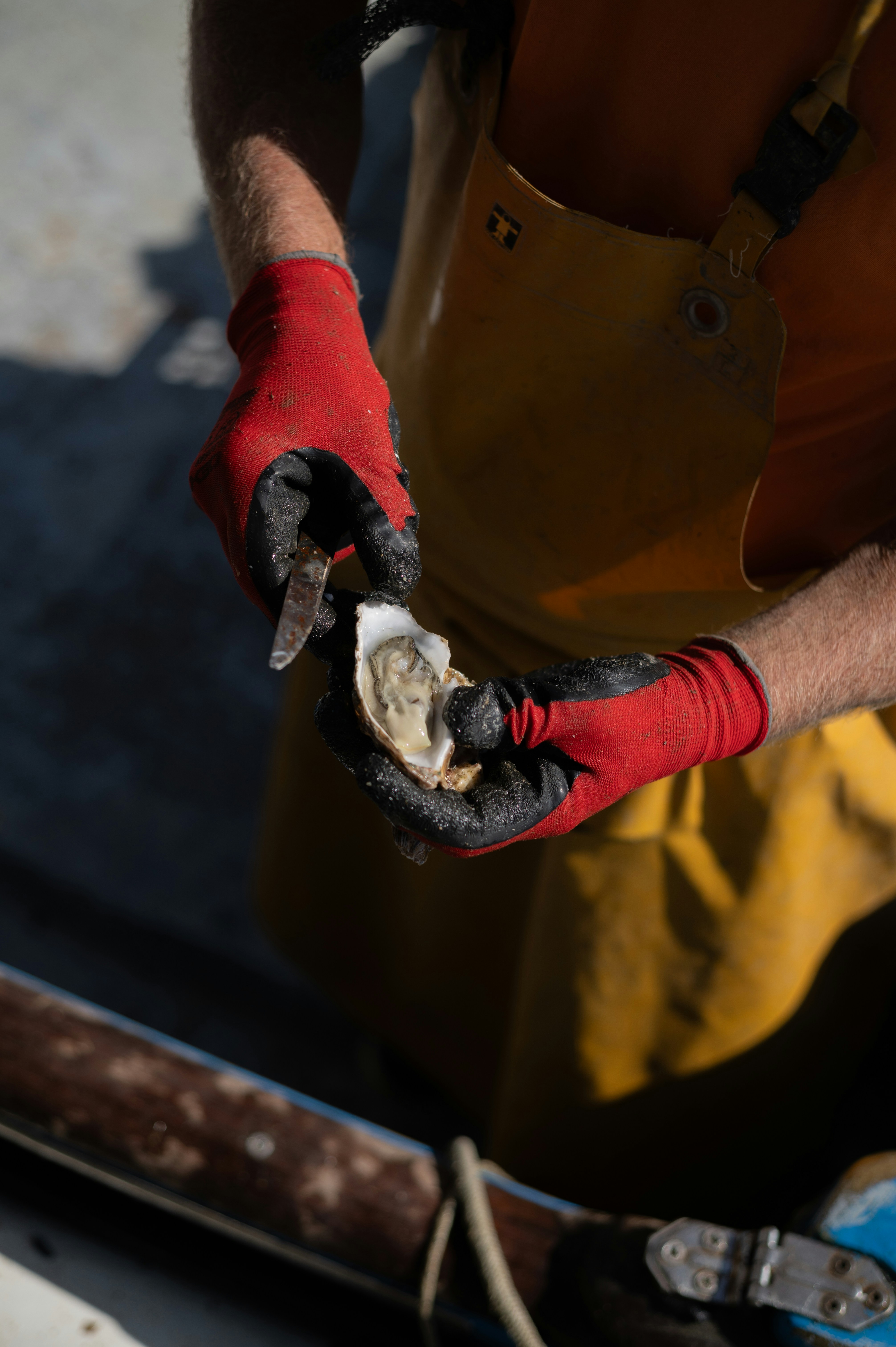 Photo by mitiliemitili