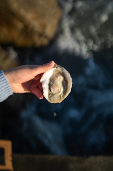 a person holding a half eaten oyster in their hand