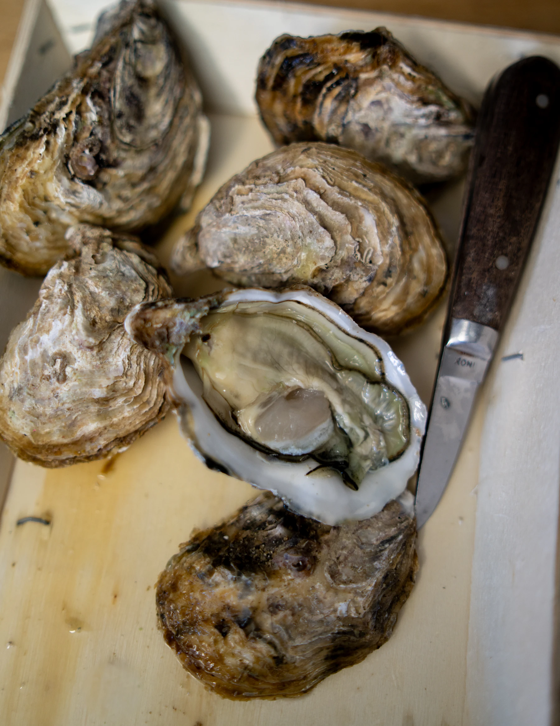 One opened oyster among closed ones on a pale wood tray, a short oyster knife lying beside them