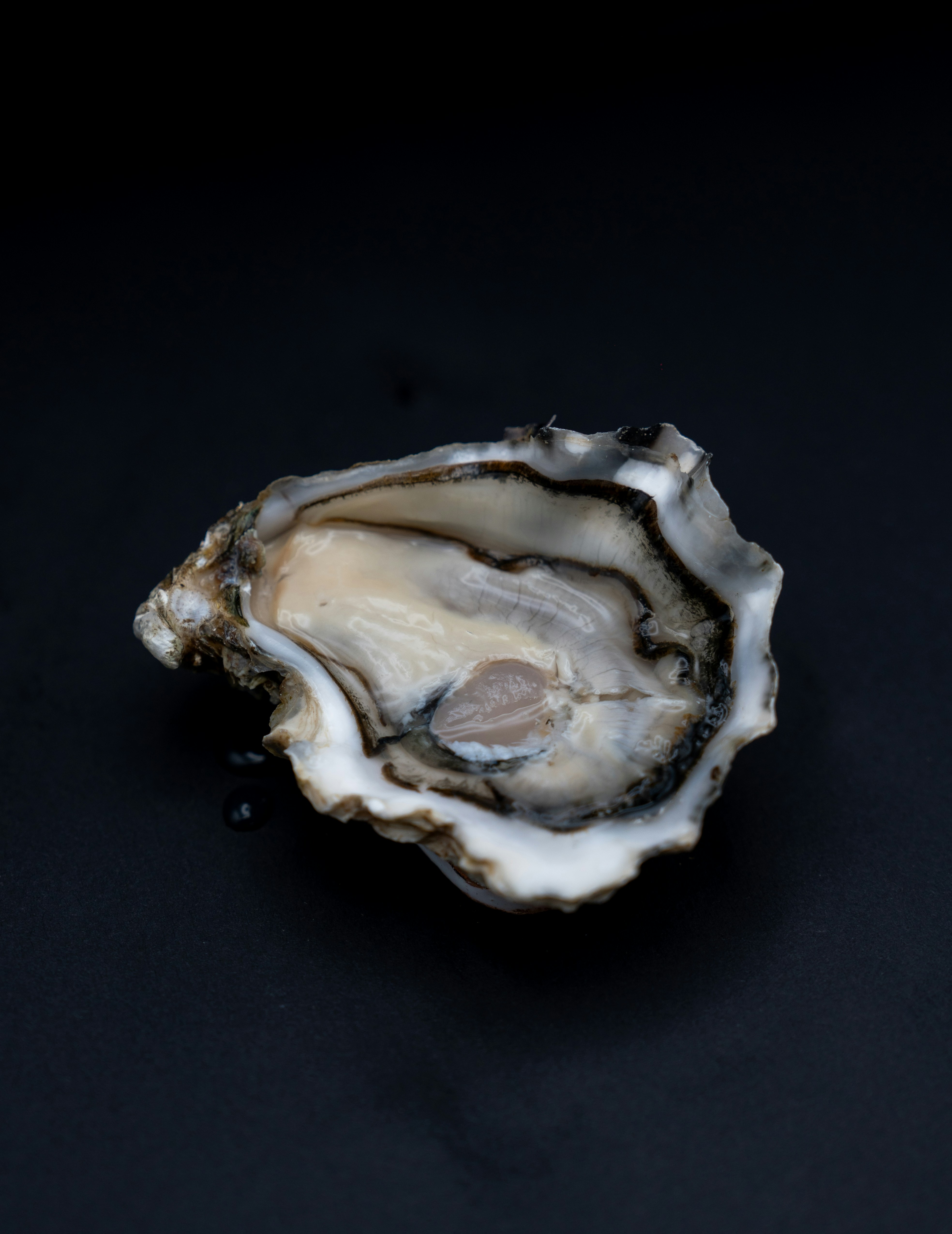 Photo by mitiliemitili