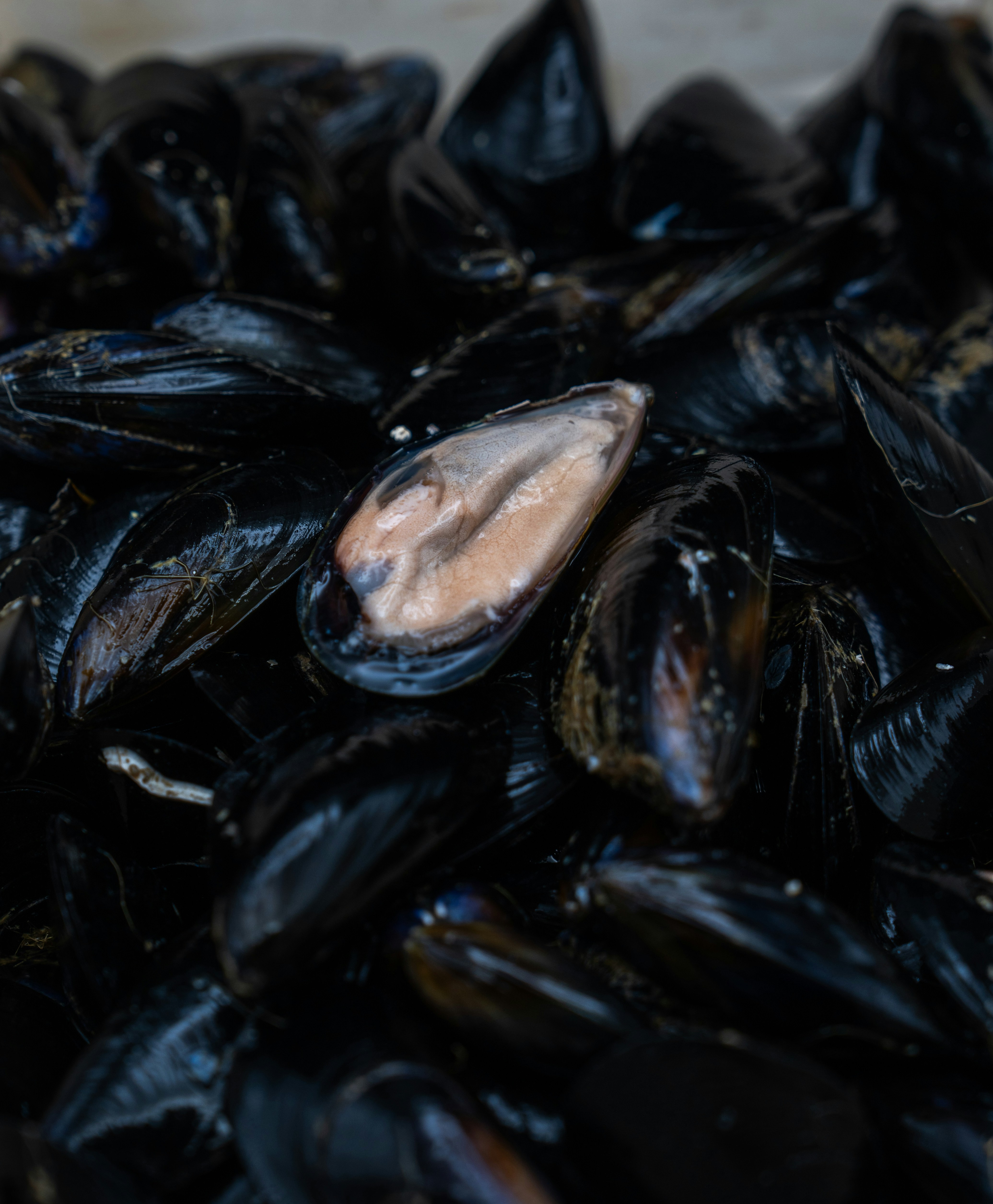 Photo by mitiliemitili