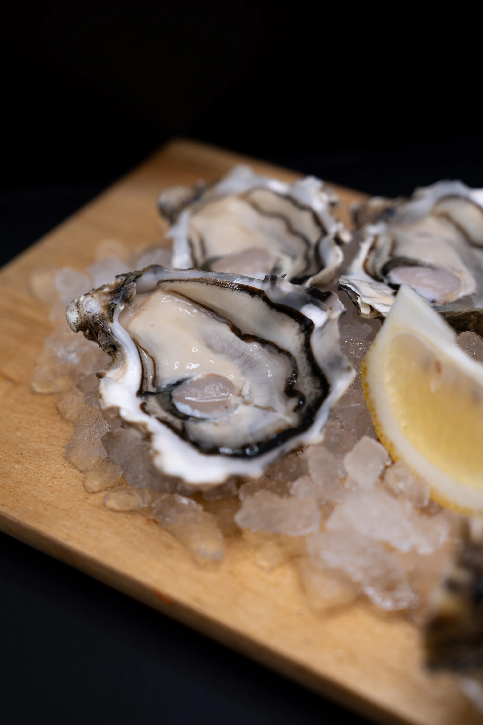 Oysters on ice at the raw bar