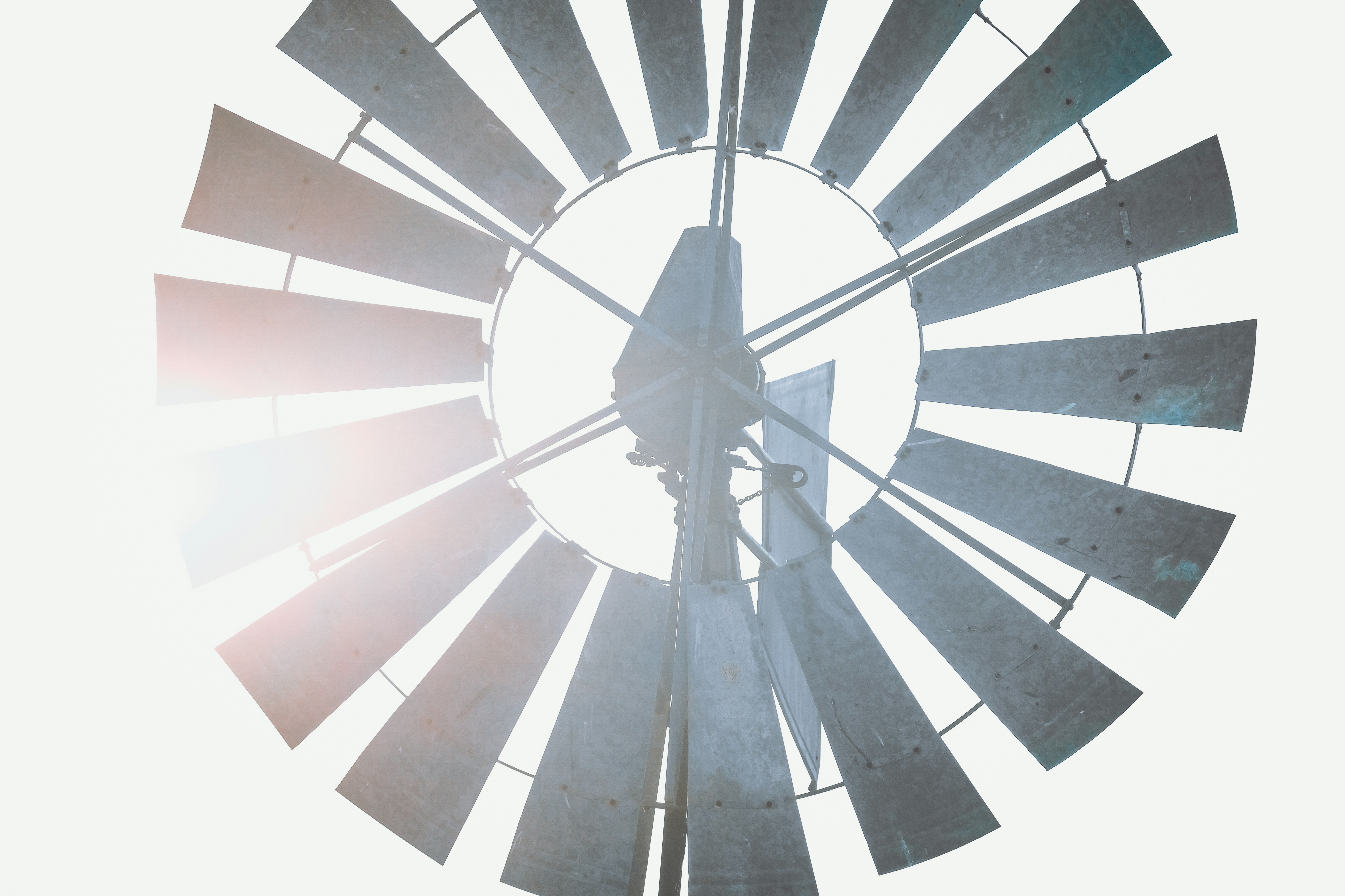 Photo by francesco_ungaro