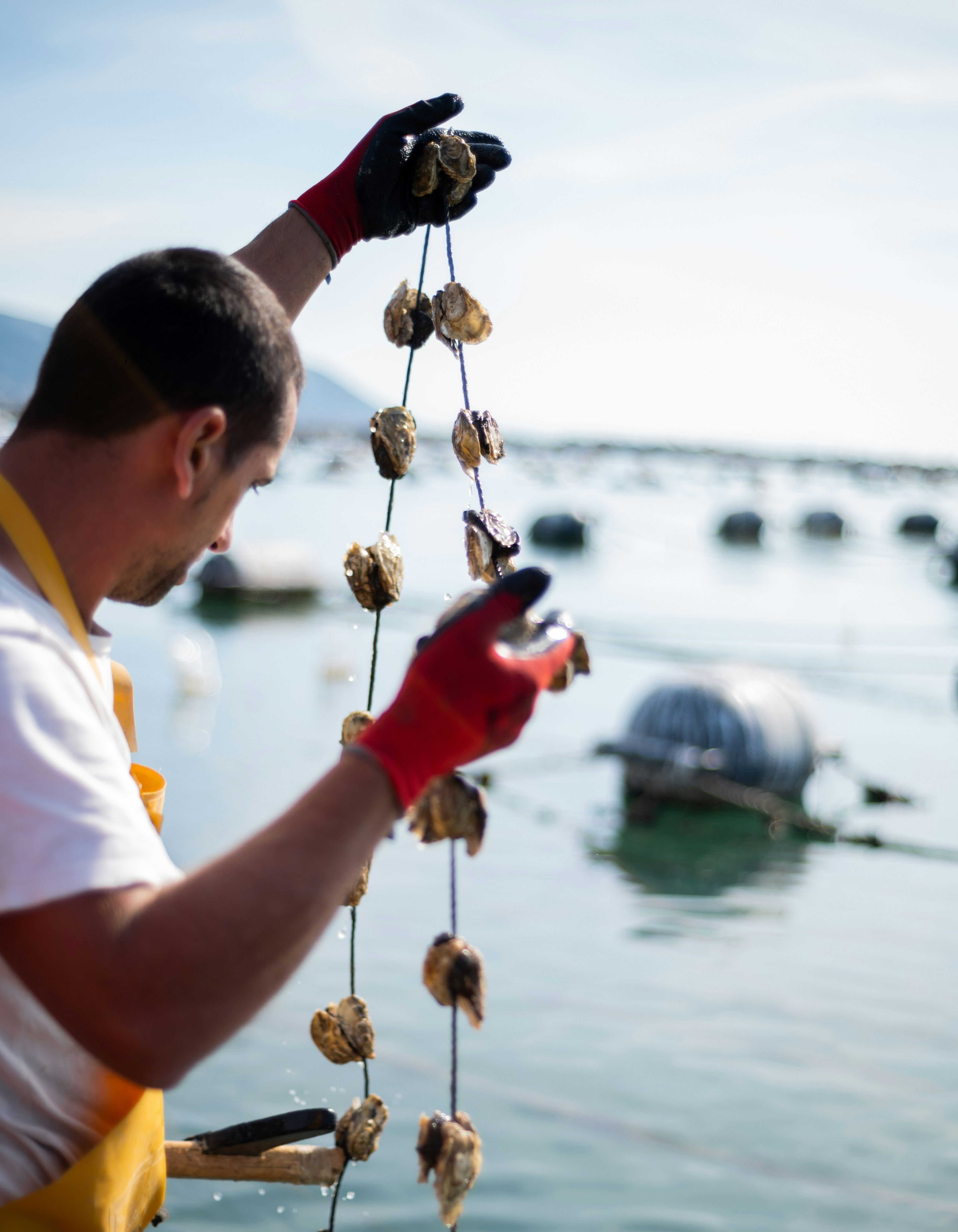 Photo by mitiliemitili