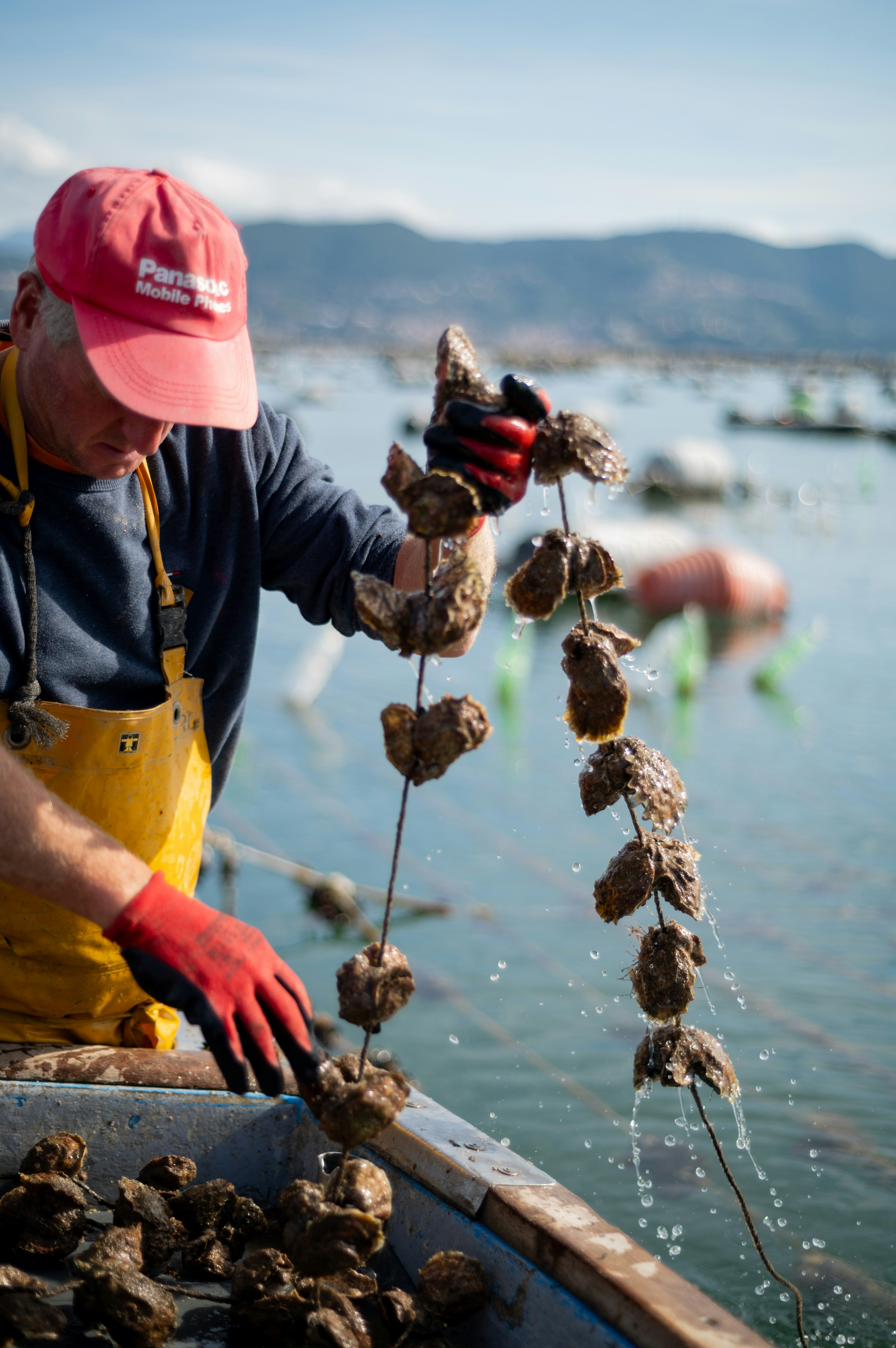 Photo by mitiliemitili