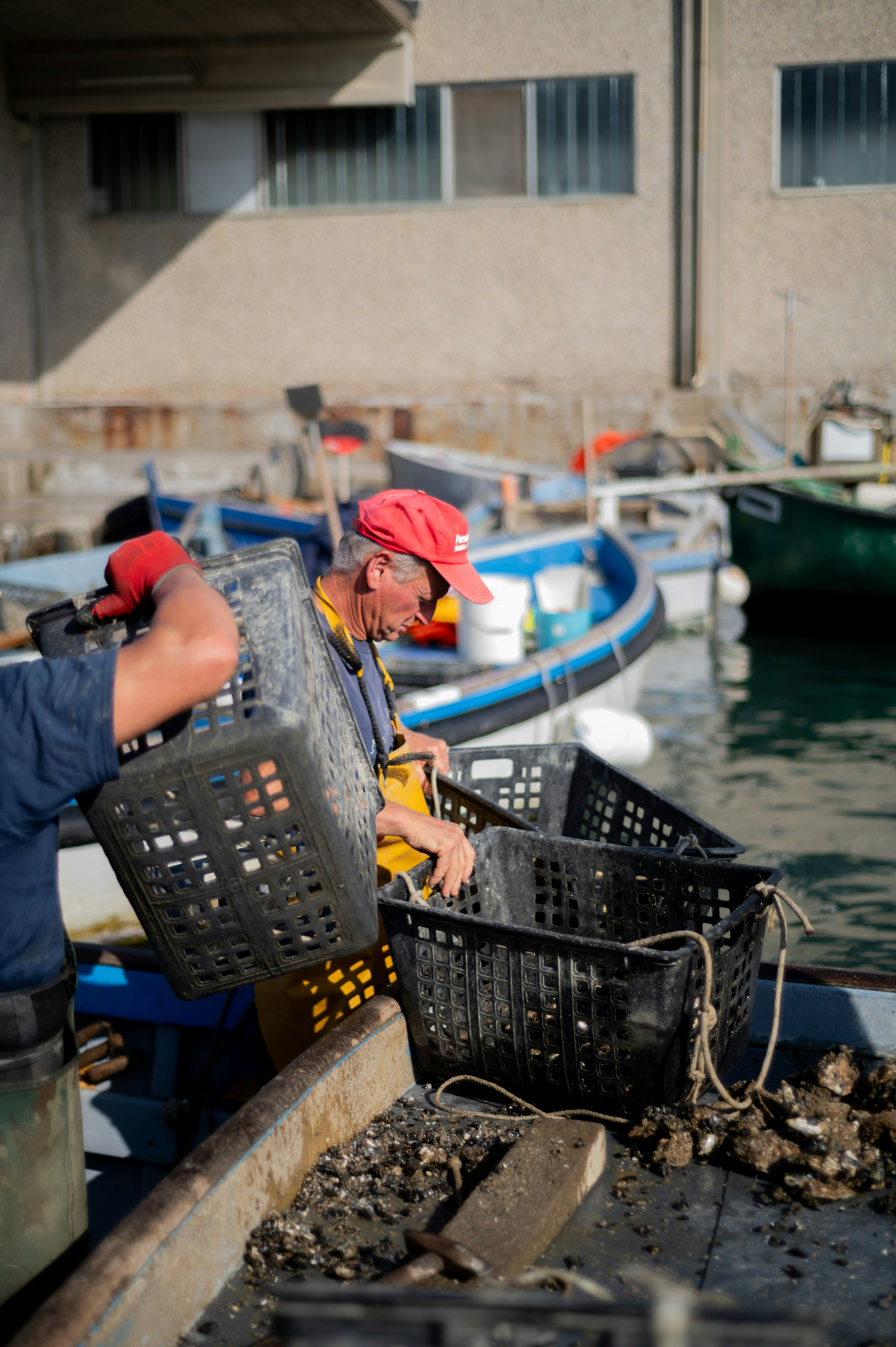 Photo by mitiliemitili