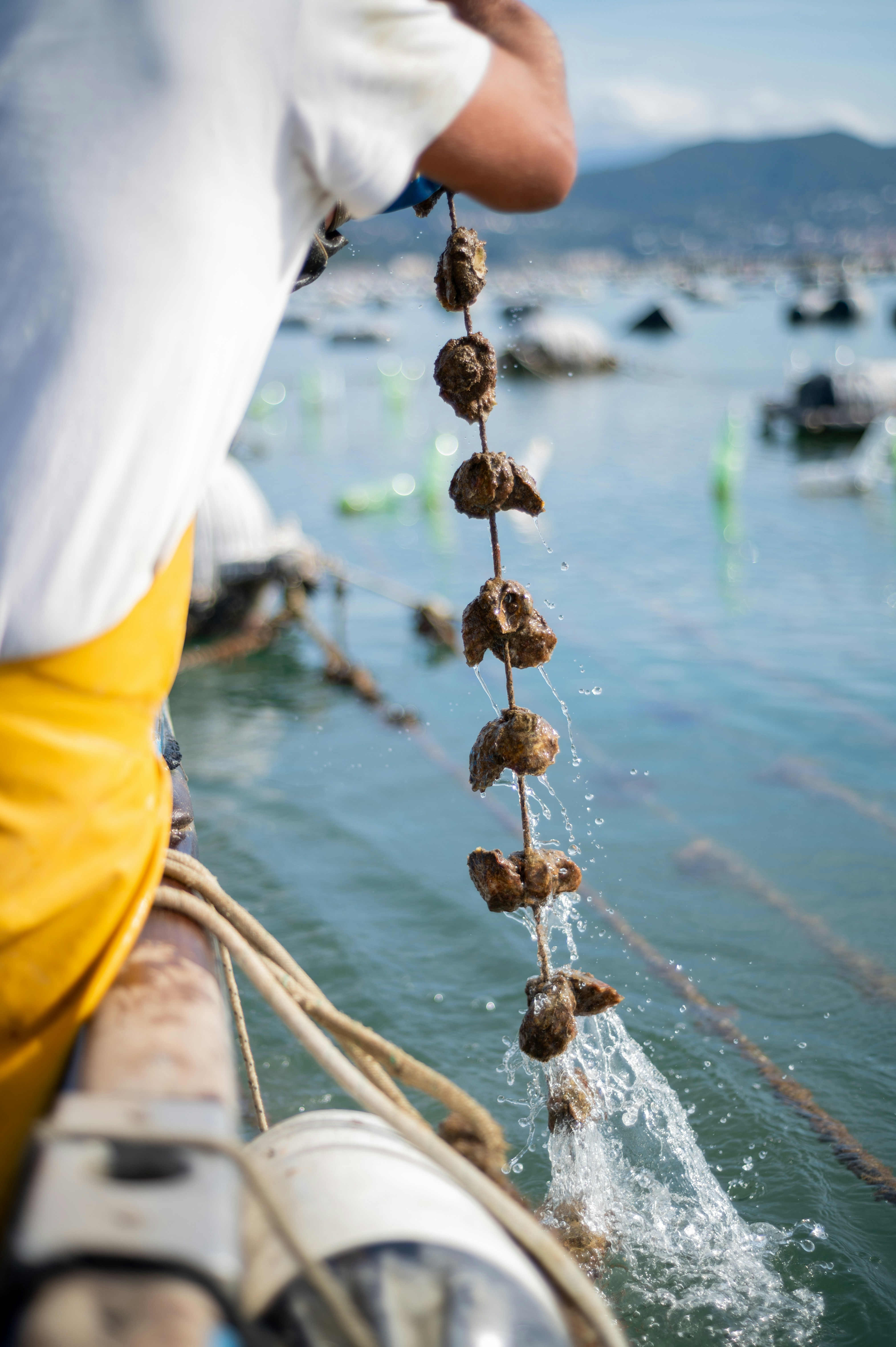 Photo by mitiliemitili