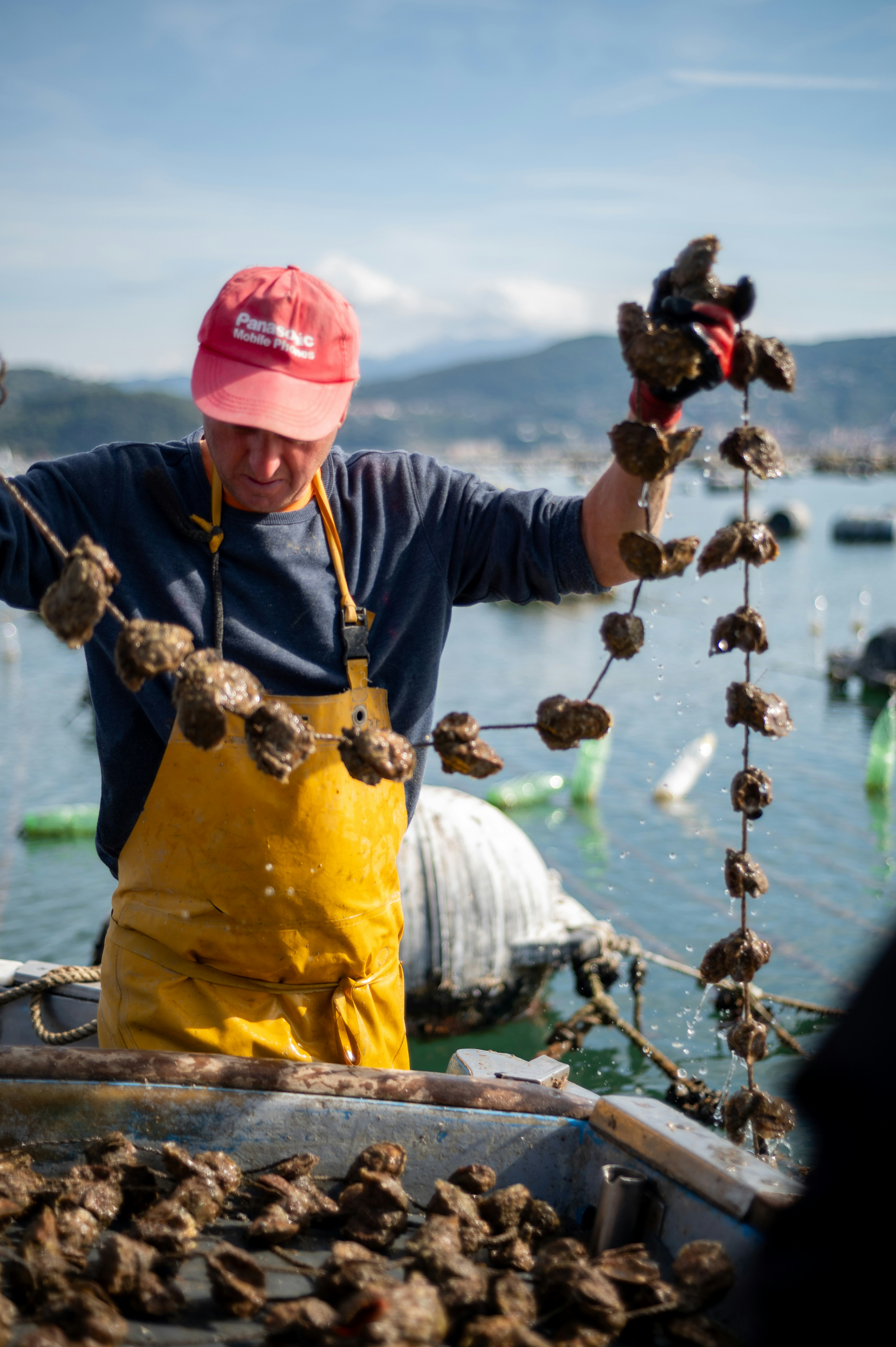 Photo by mitiliemitili