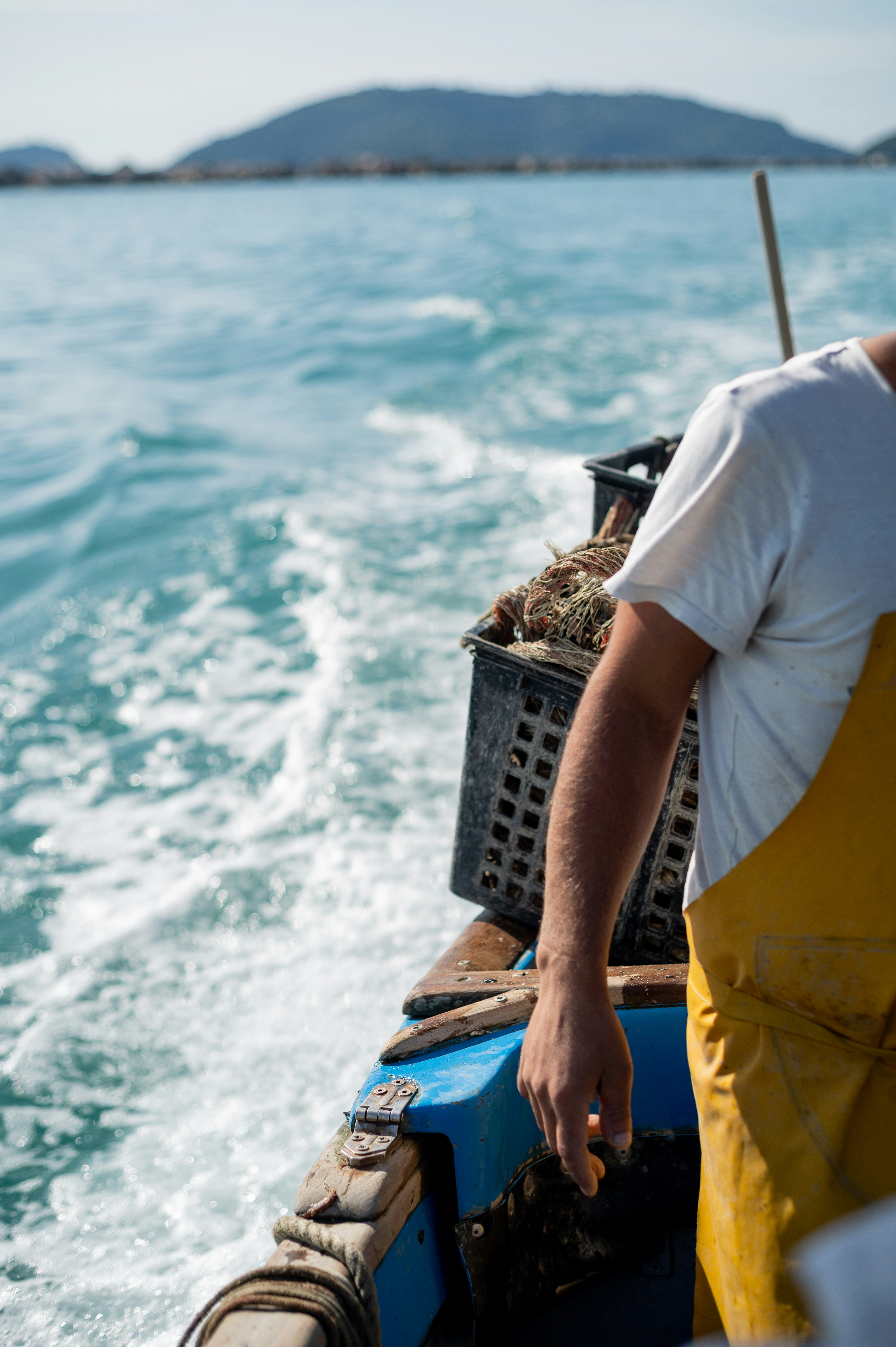 Photo by mitiliemitili