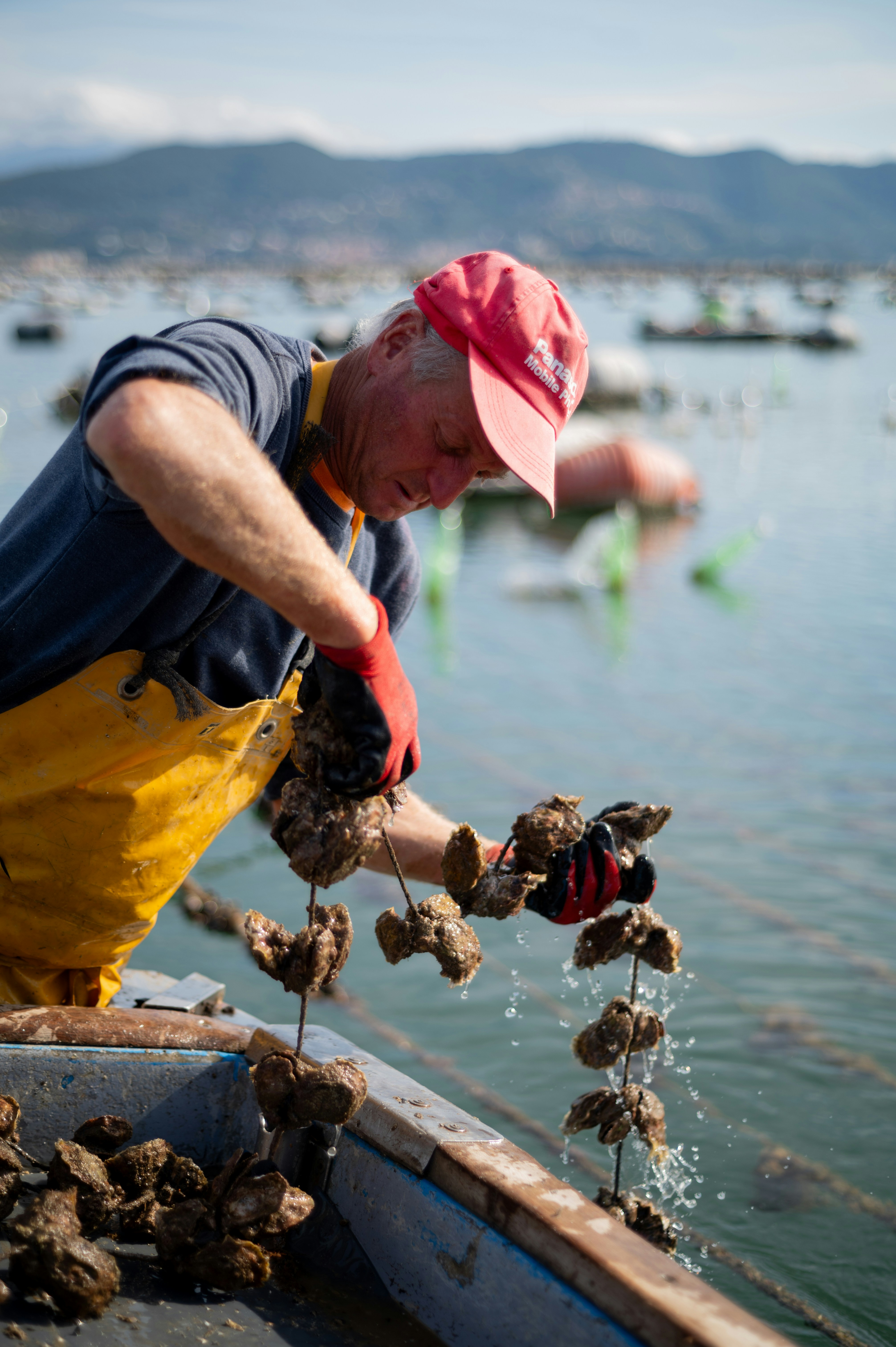 Photo by mitiliemitili