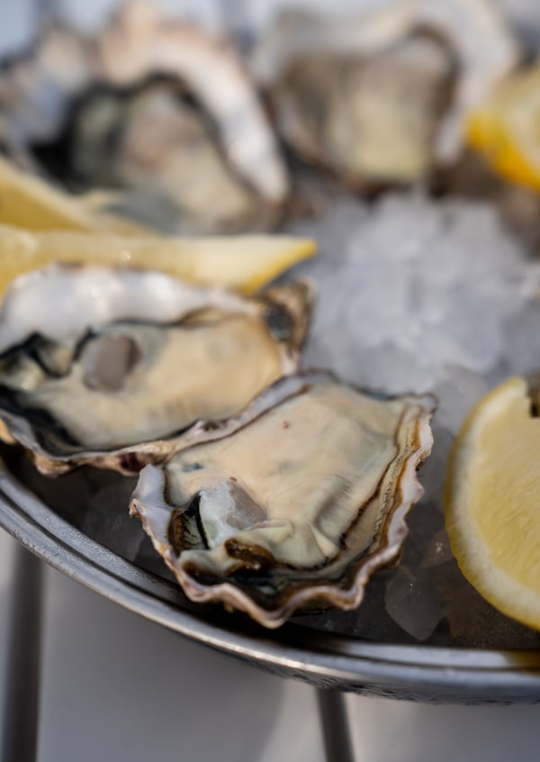 Stellar Oysters