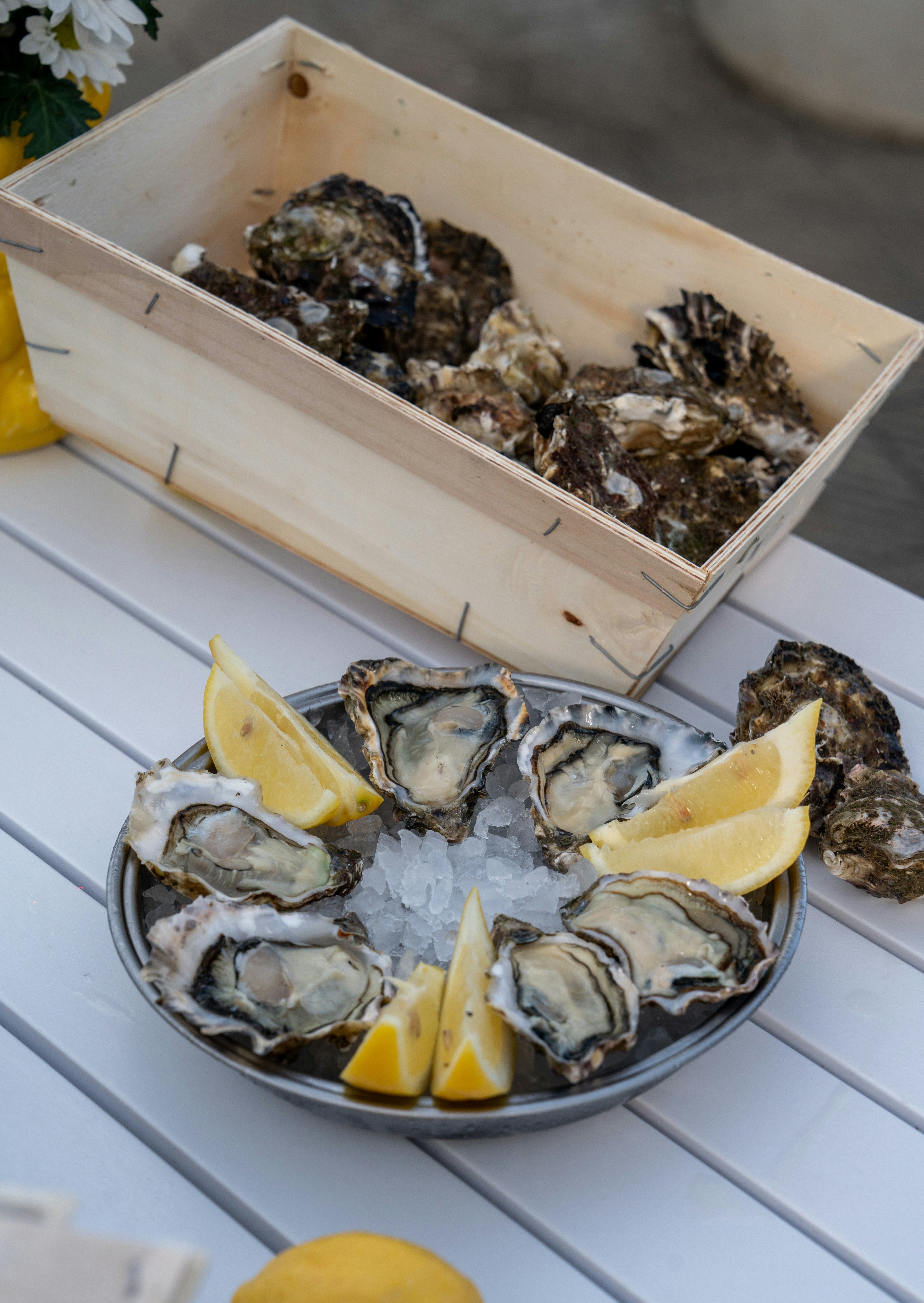 Photo by mitiliemitili