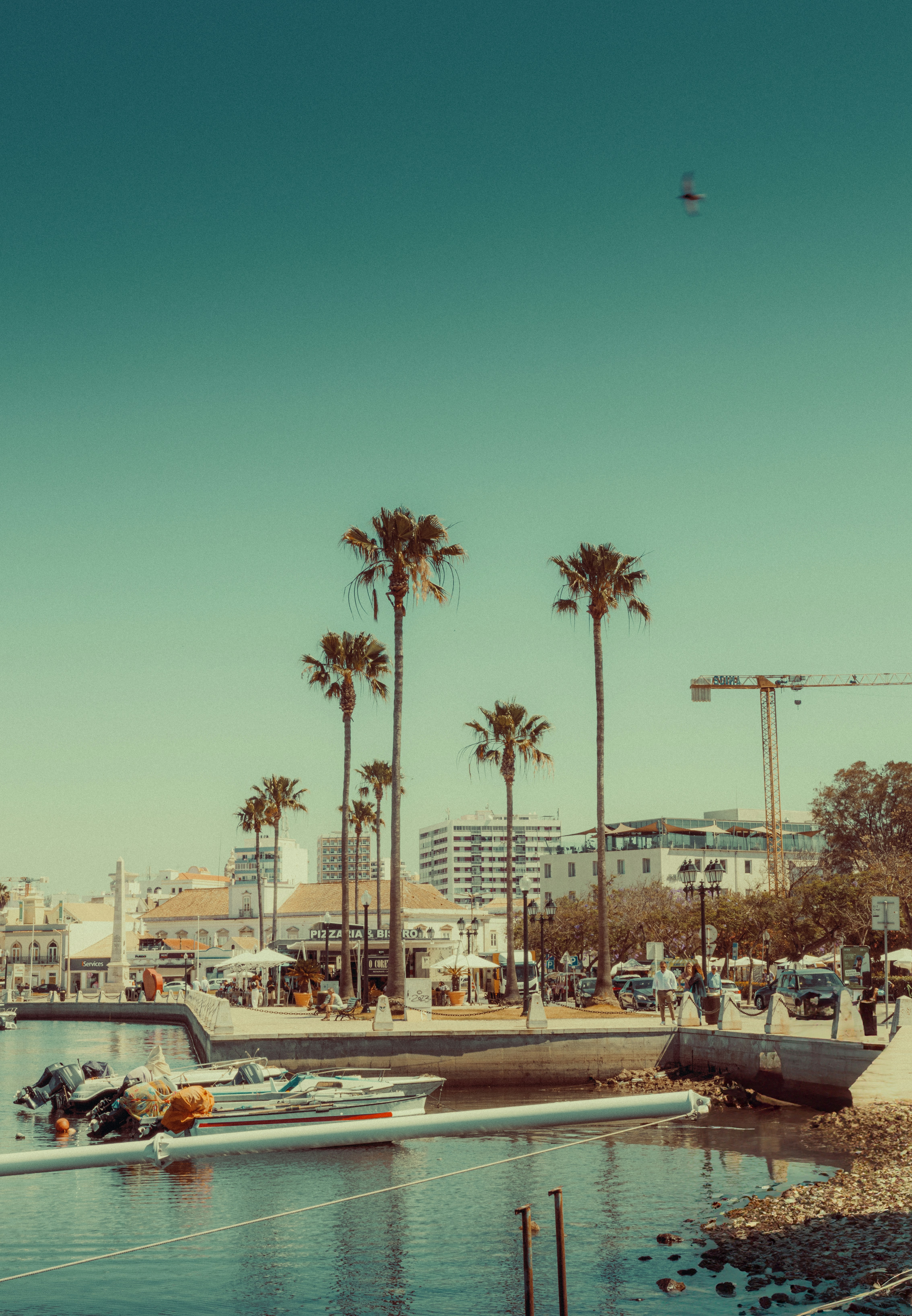 Photo by joamferrera