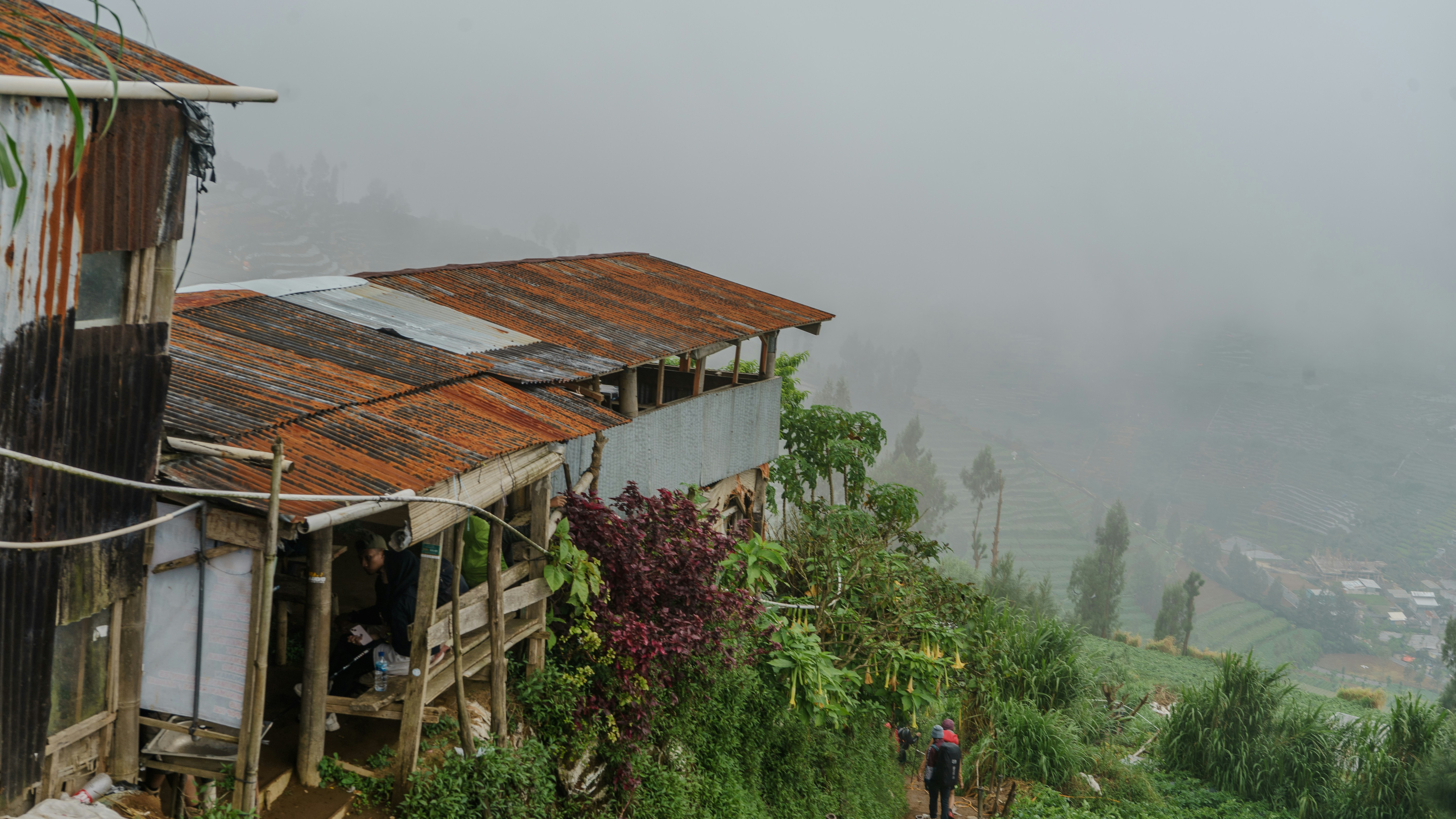 Photo by divarakasiwi