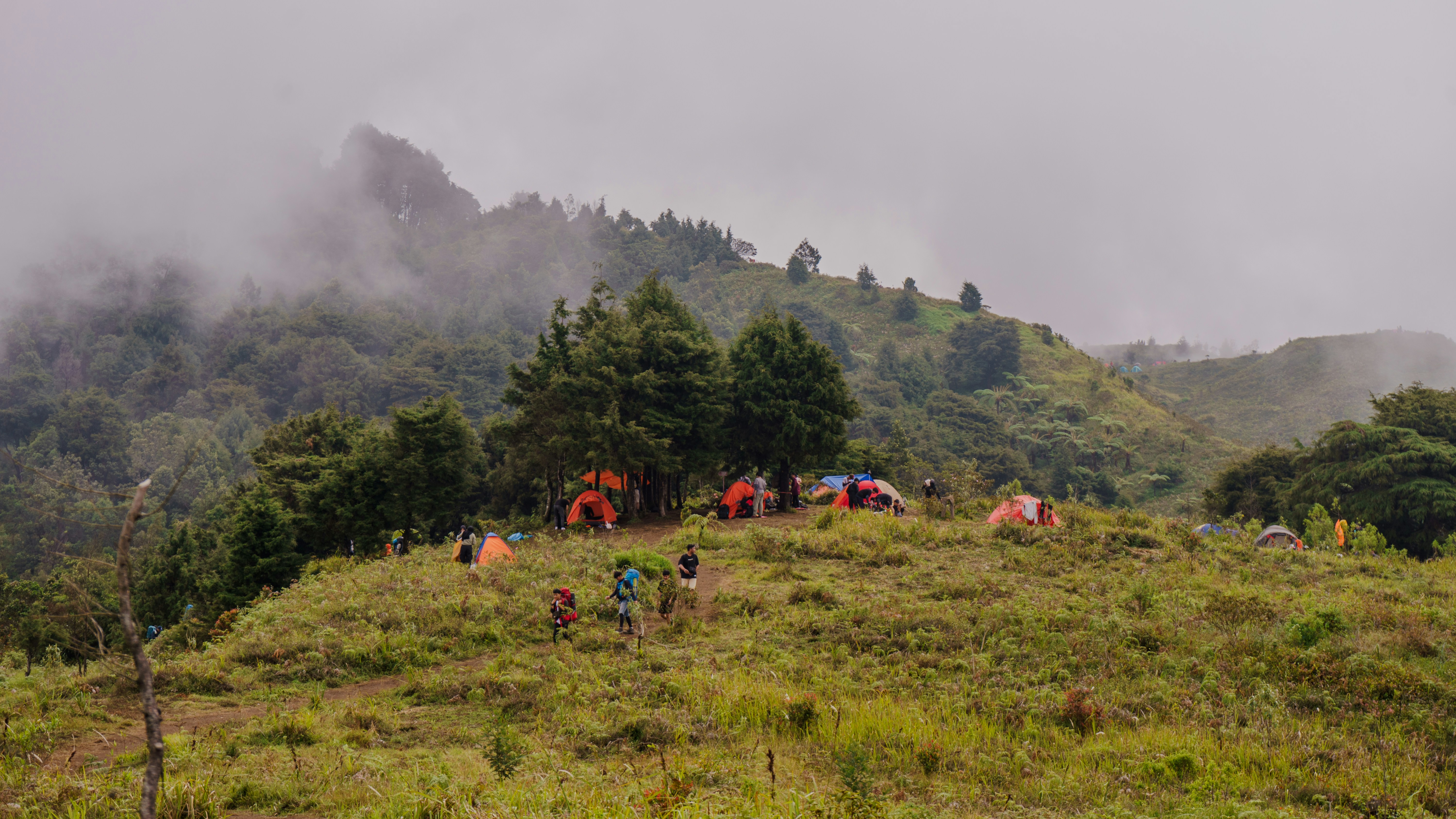 A group of people standing on top of a lush green hillside photo – Free ...