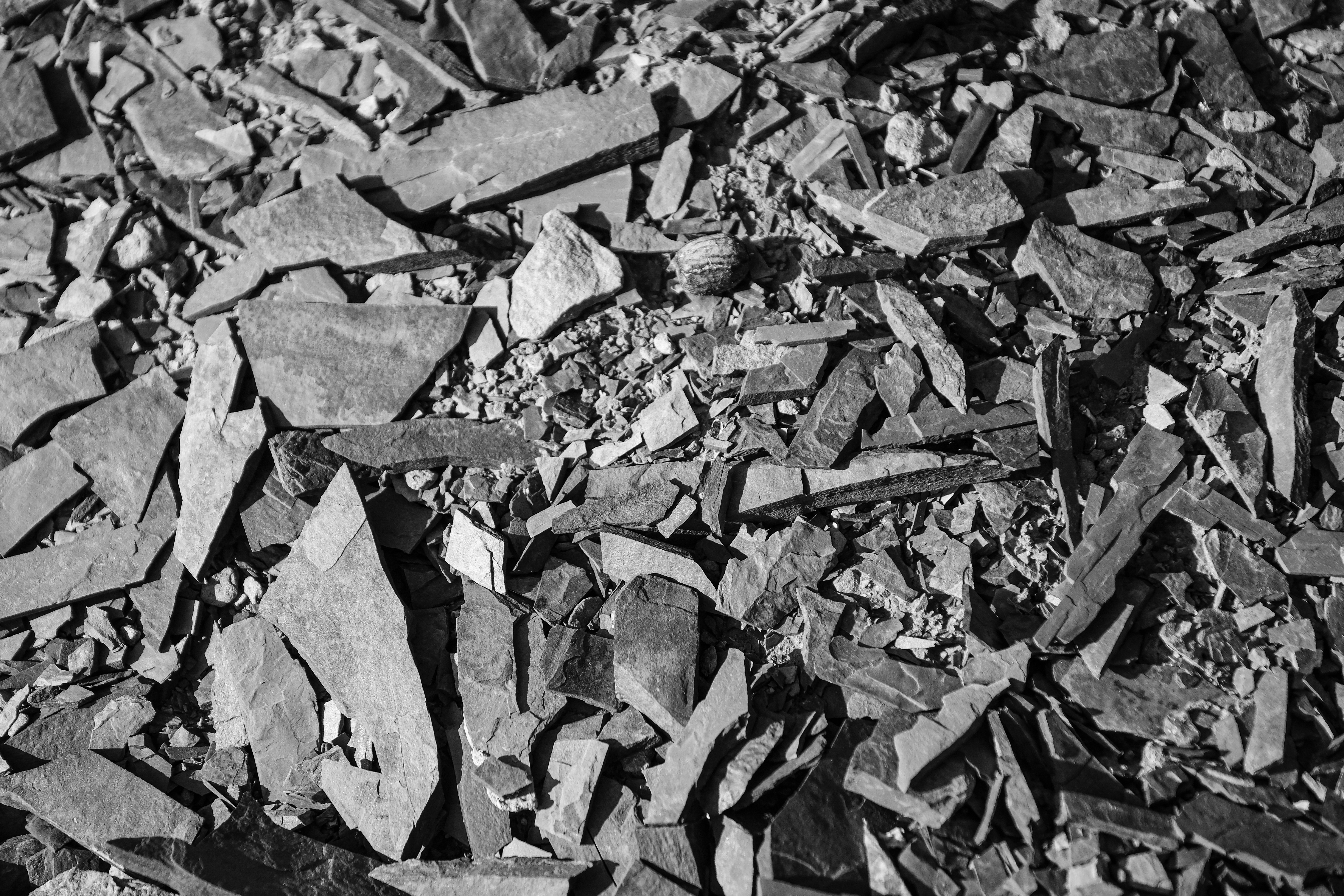 Photo by francesco_ungaro