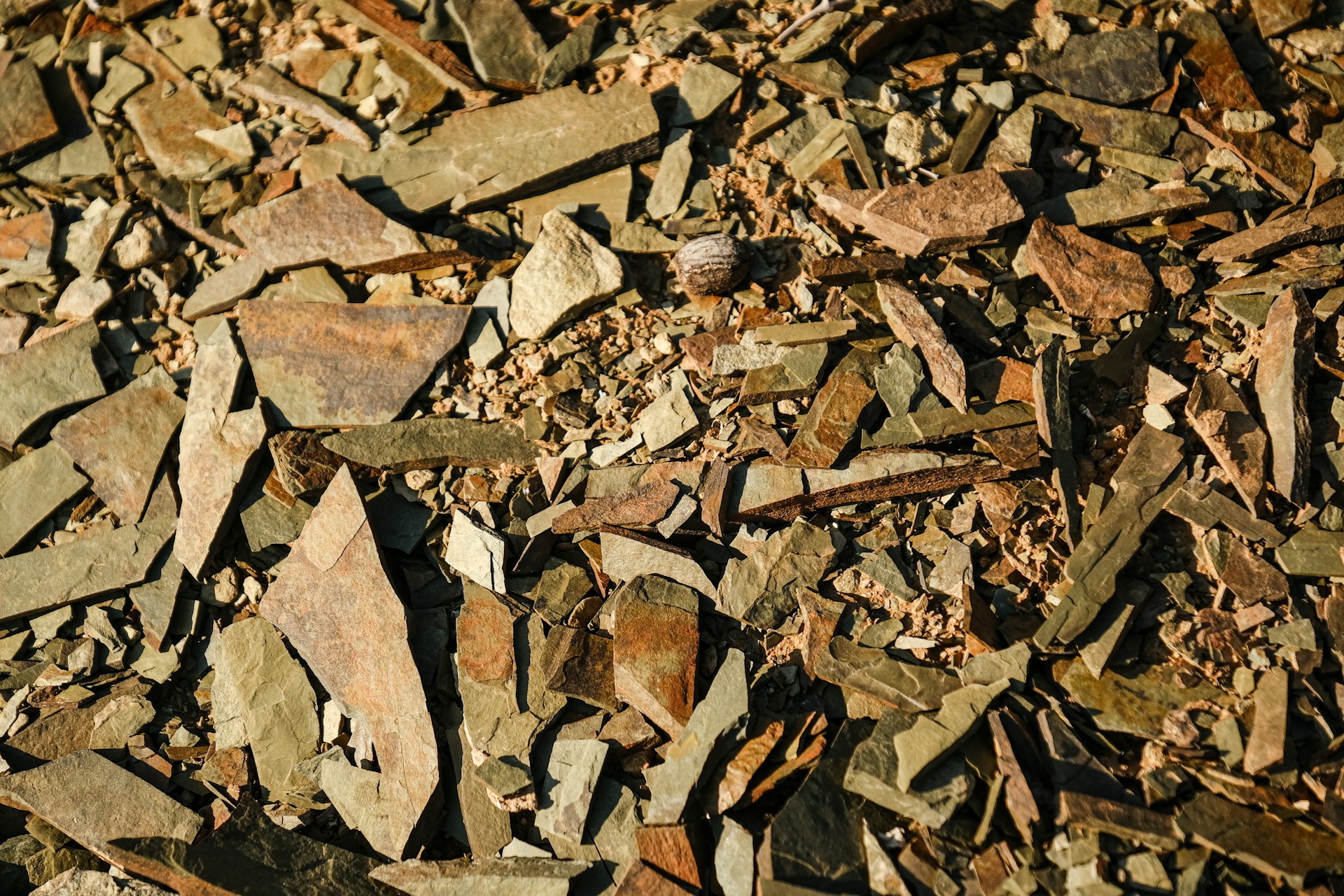 a close up of a pile of rocks and gravel
