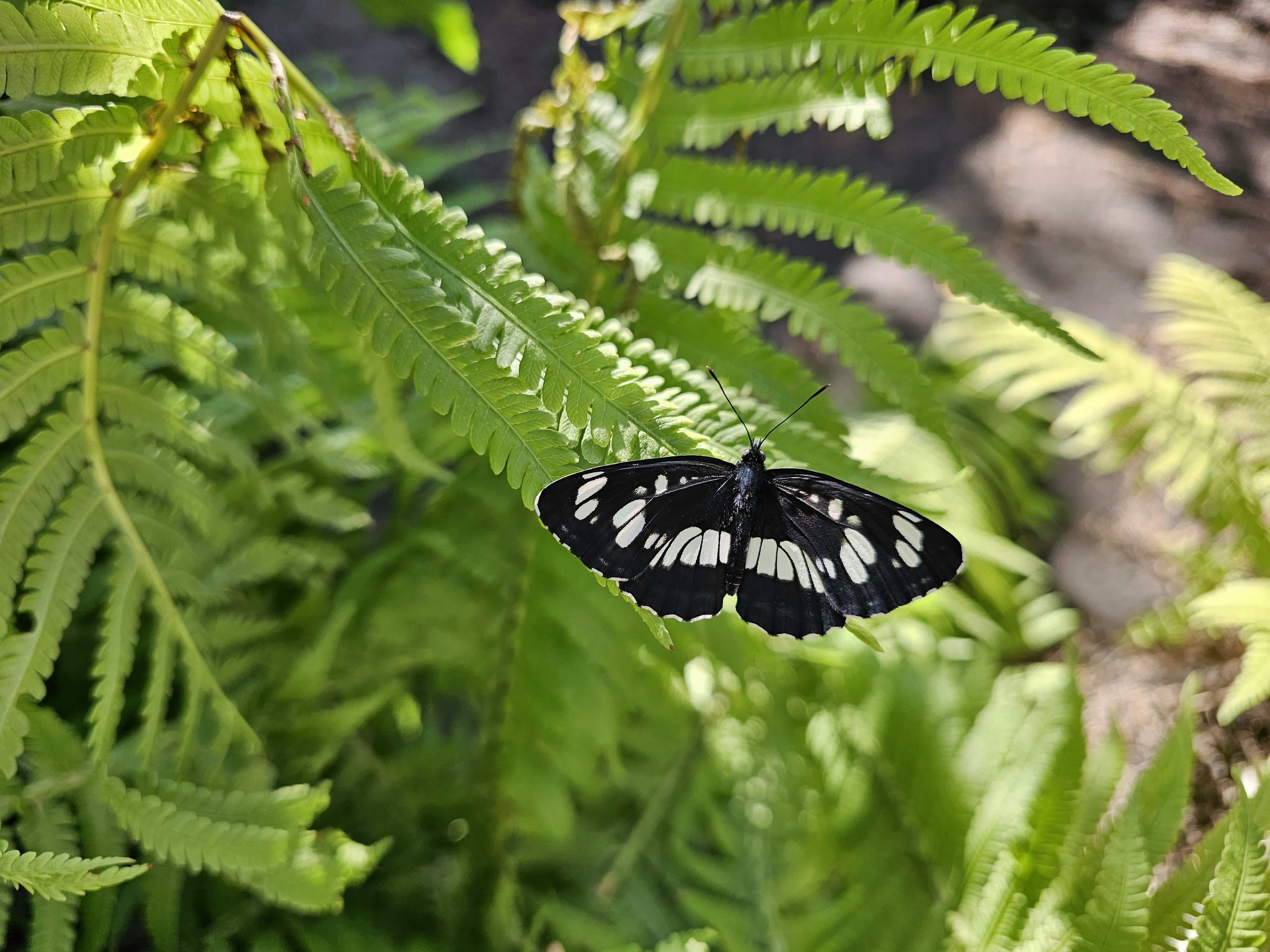 Photo by karinatareeva