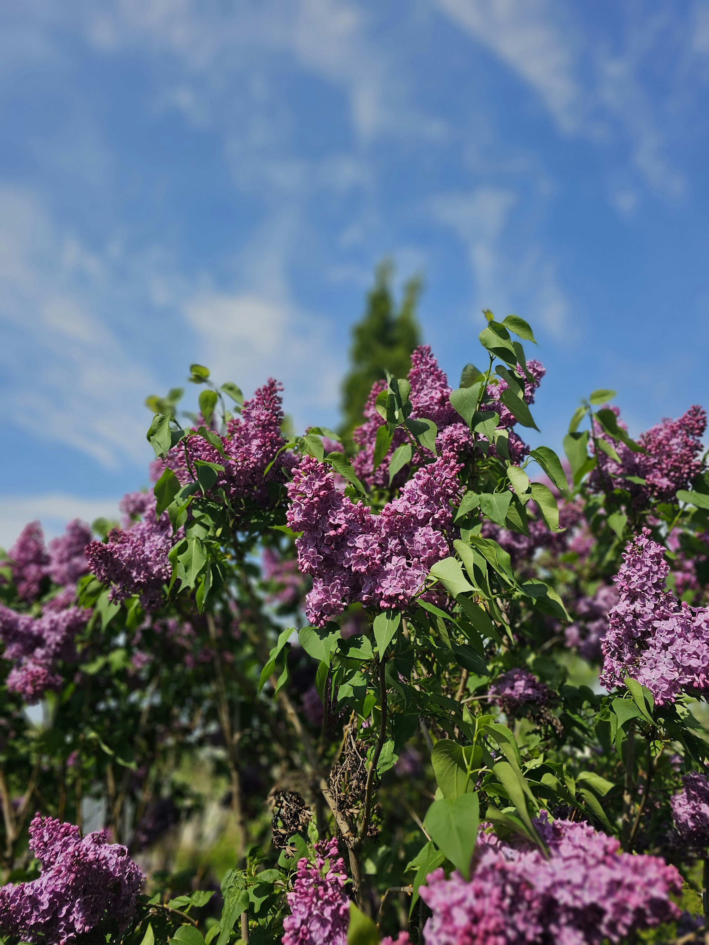 Photo by karinatareeva