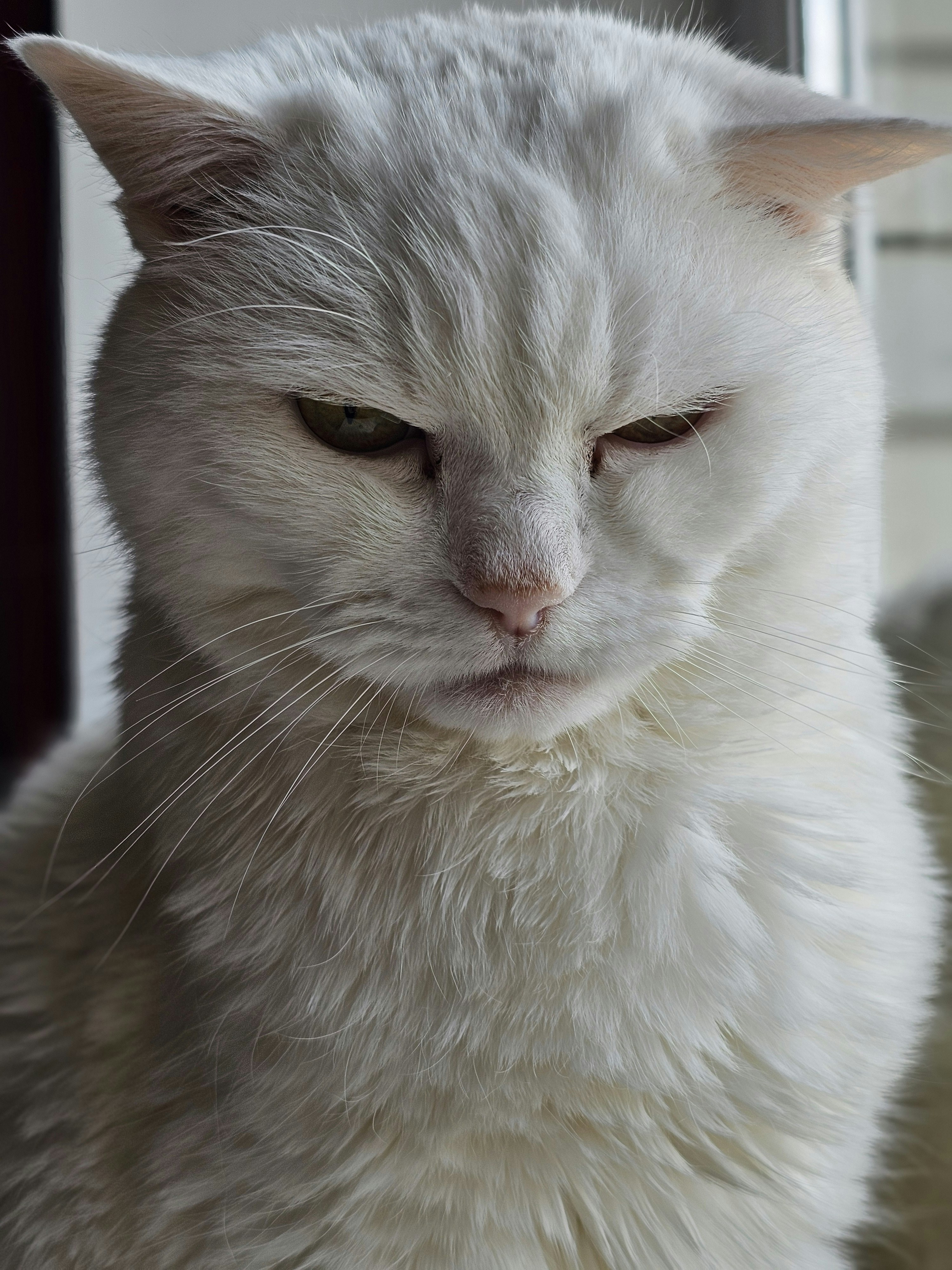 Photo by karinatareeva