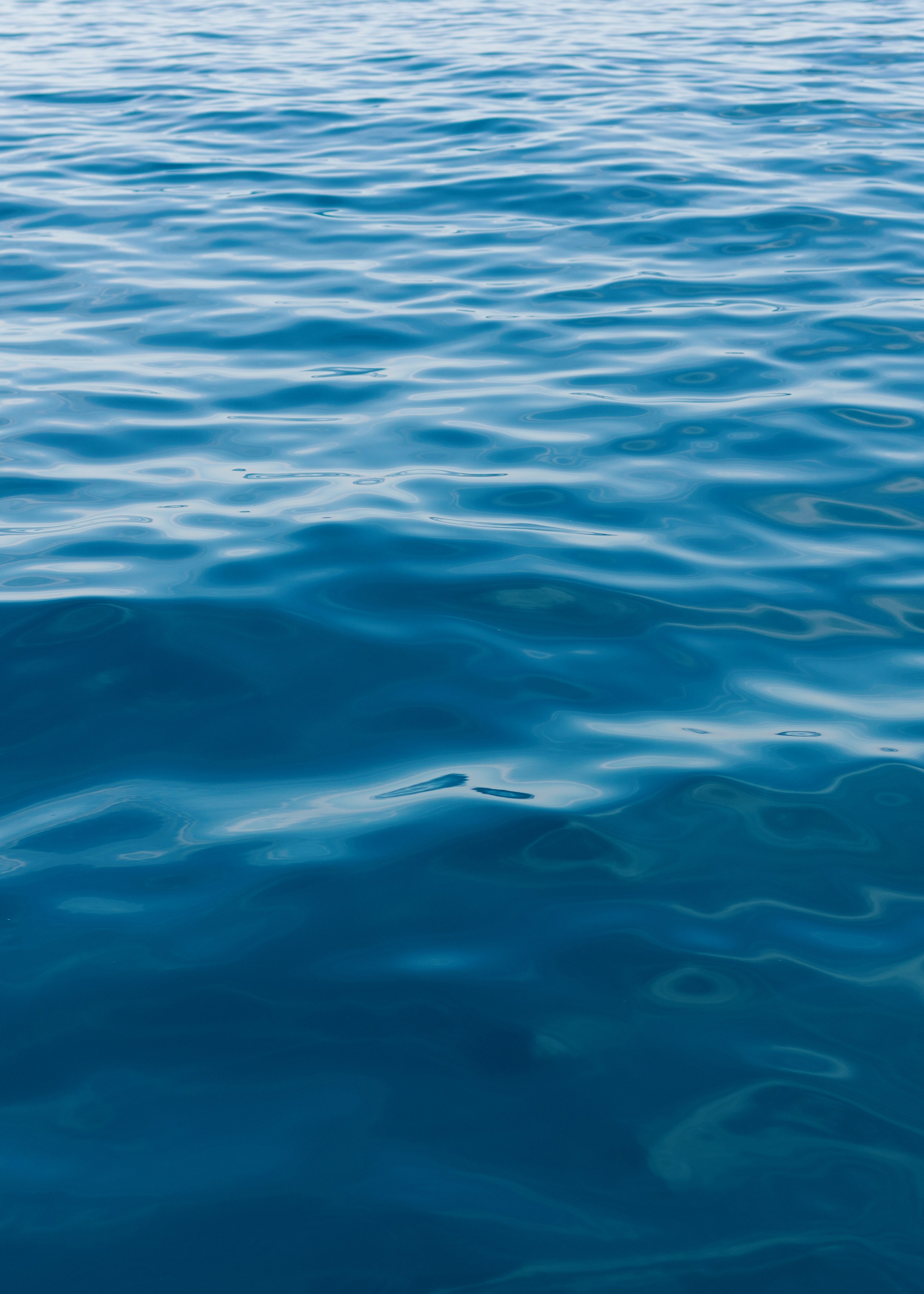 Photo by juliamatuzova